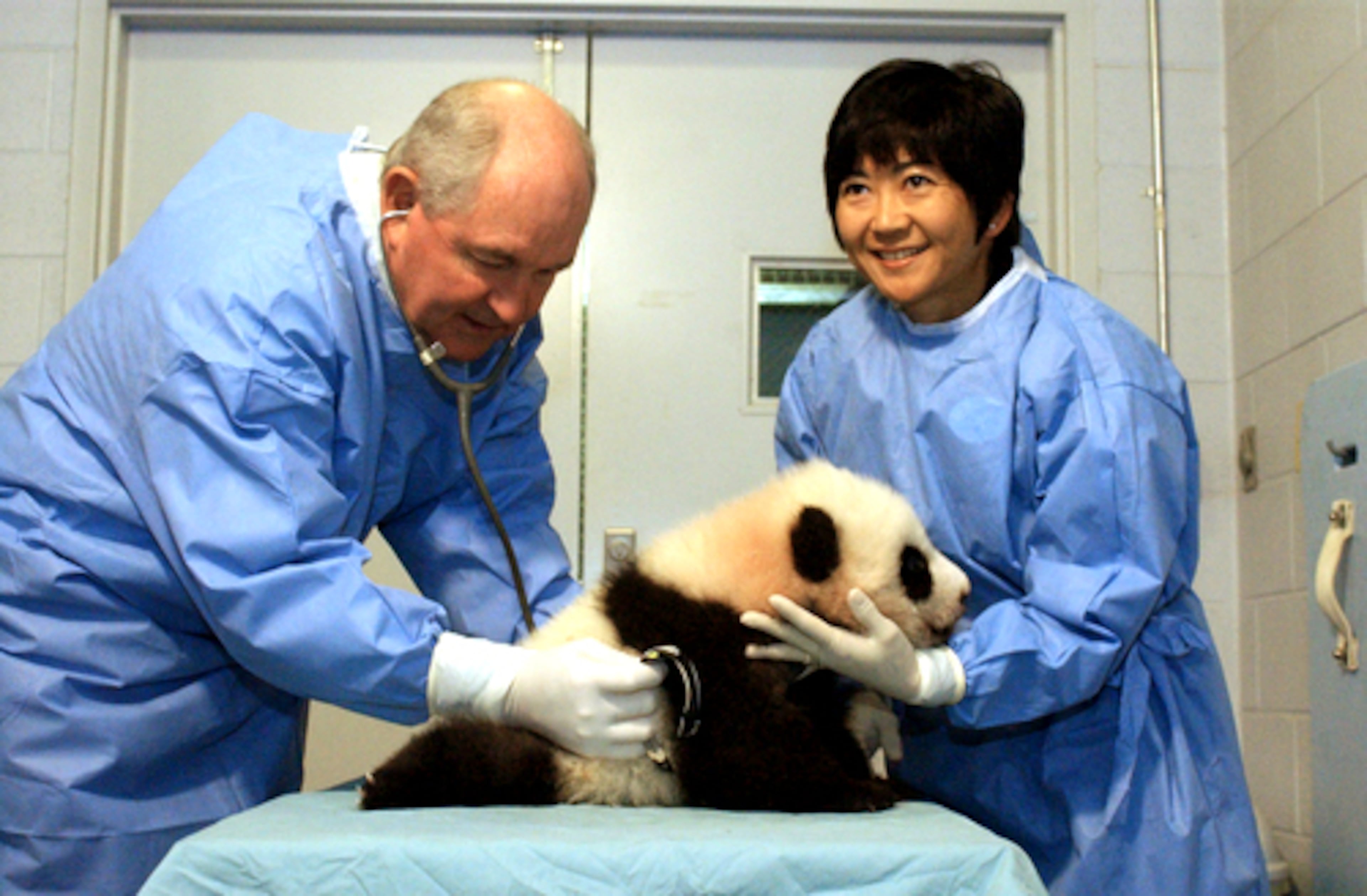 In December 2006, Perdue and Crane examined Mei Lan when the cub was 113 days old.