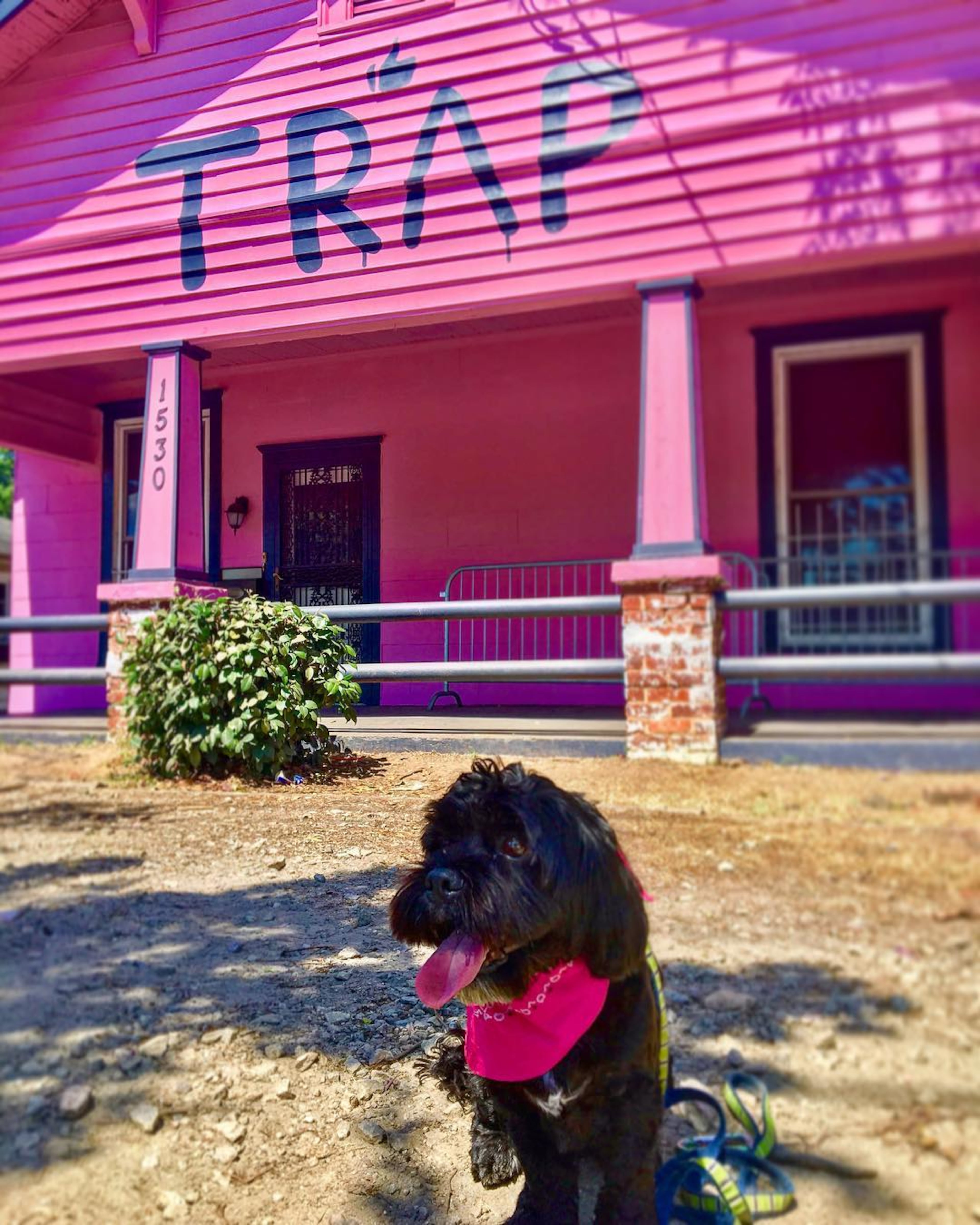 Atlanta's newest landmark, dubbed the Pink Trap House, has caught the attention of people all over the city, thanks to rapper 2 Chainz.