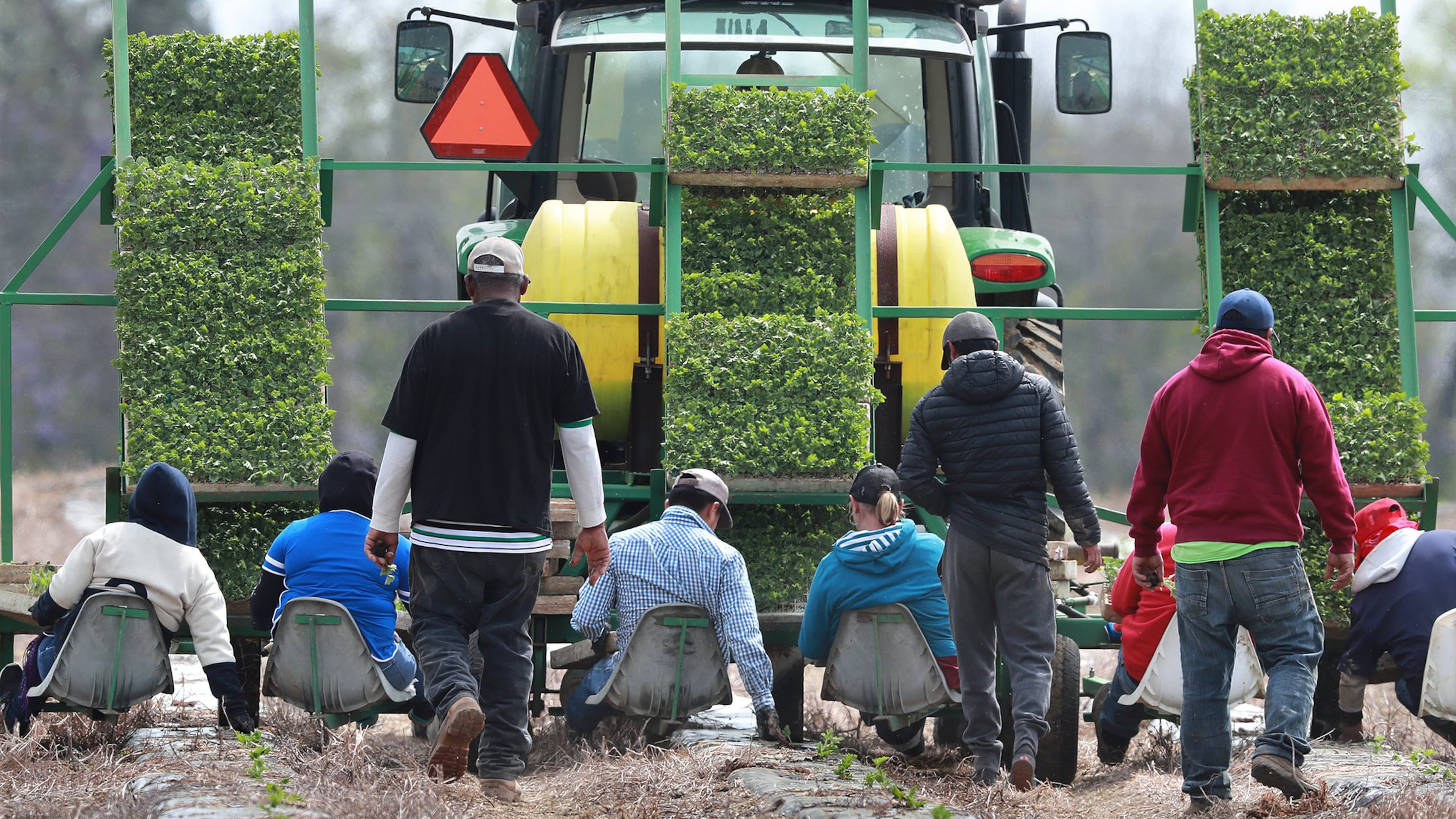 Farmworkers hand-plant rows of watermelon while riding on a seat platform behind a tractor at the Sweet Dixie Melon farm in Tift County on March 19, 2019. CURTIS COMPTON / CCOMPTON@AJC.COM