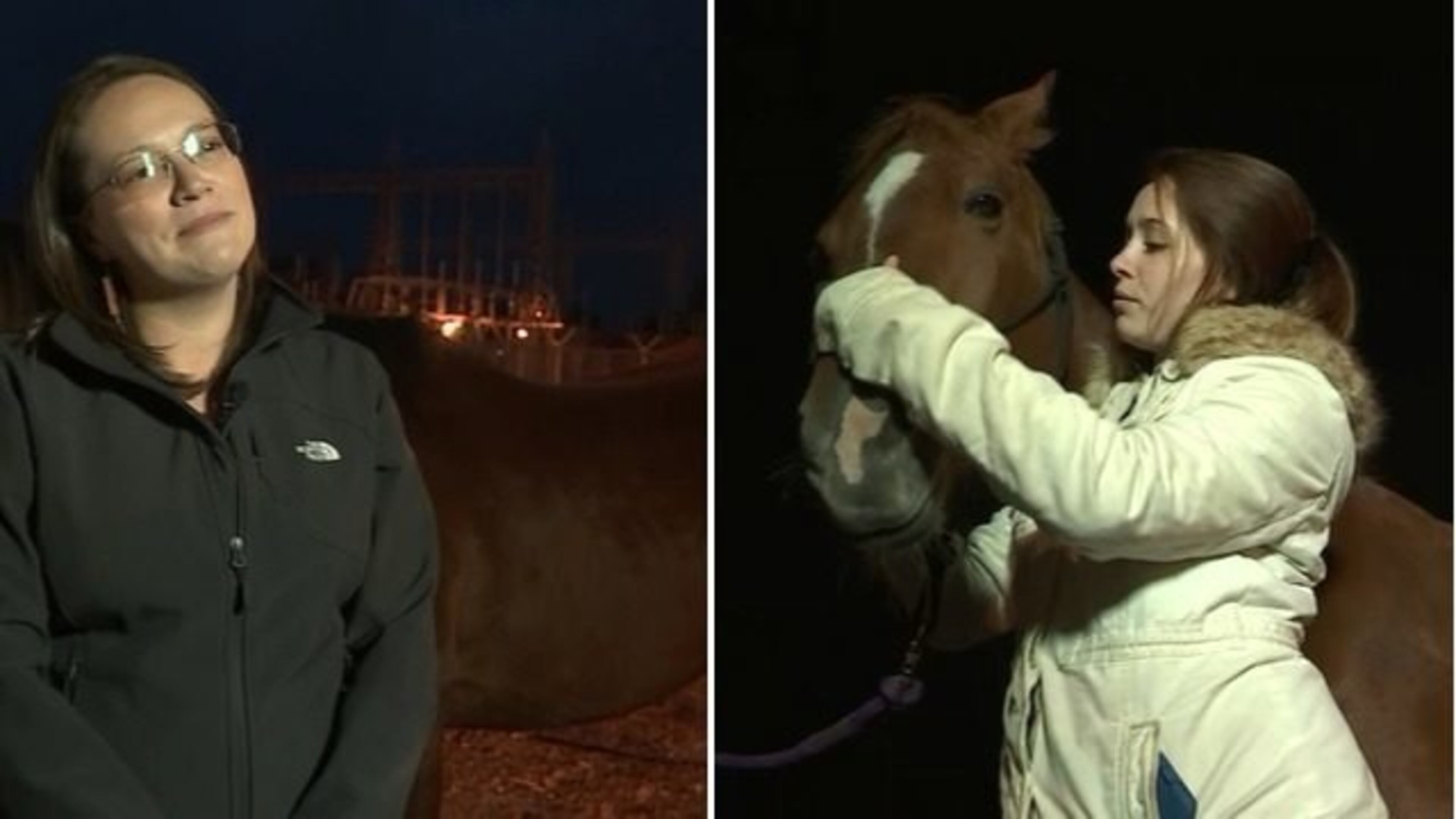 Two women and their horses were forced to fight off a dog attack in Pierce County near Waller on Friday.