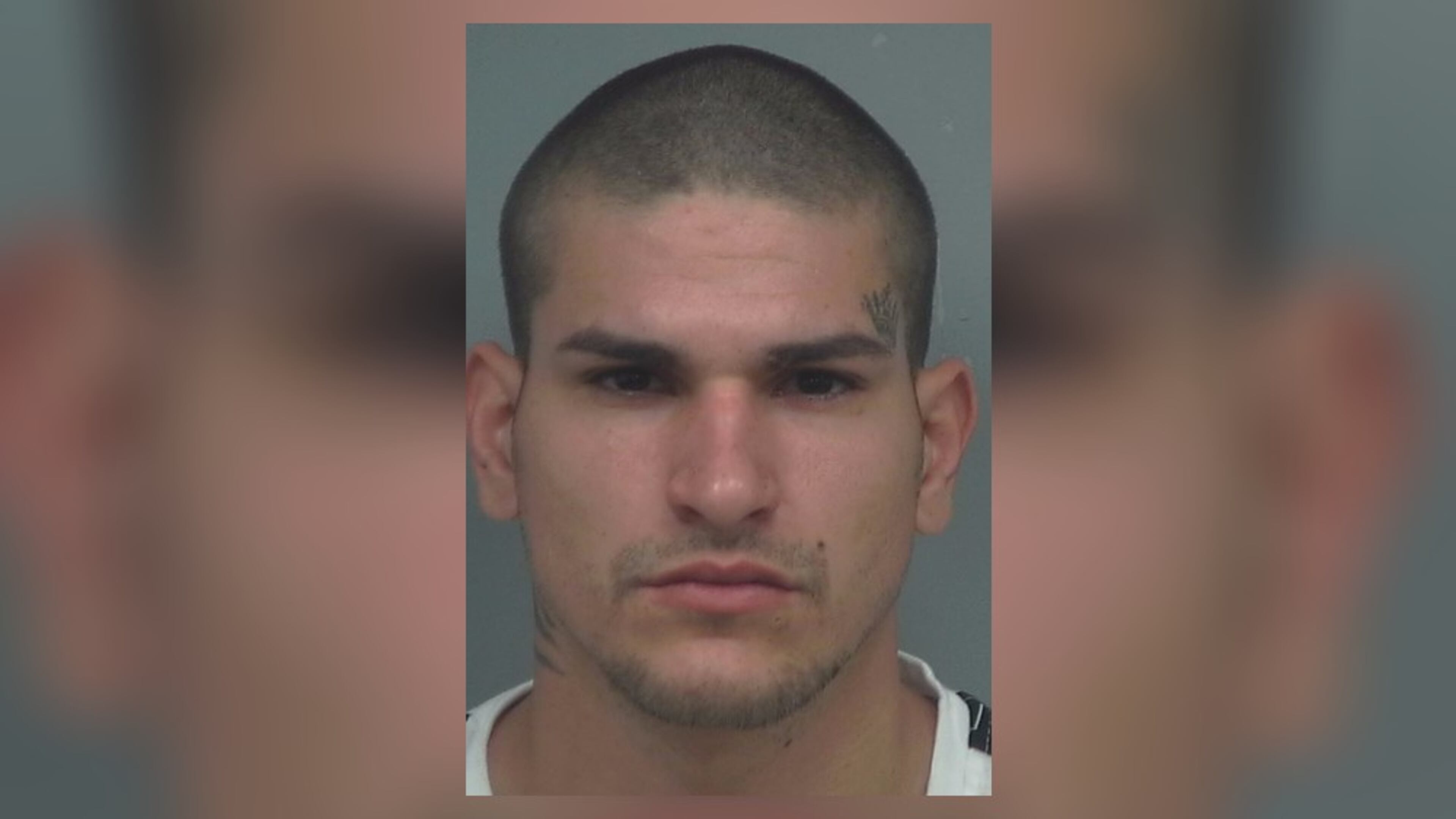 Miguel Angel Olan Almodovar