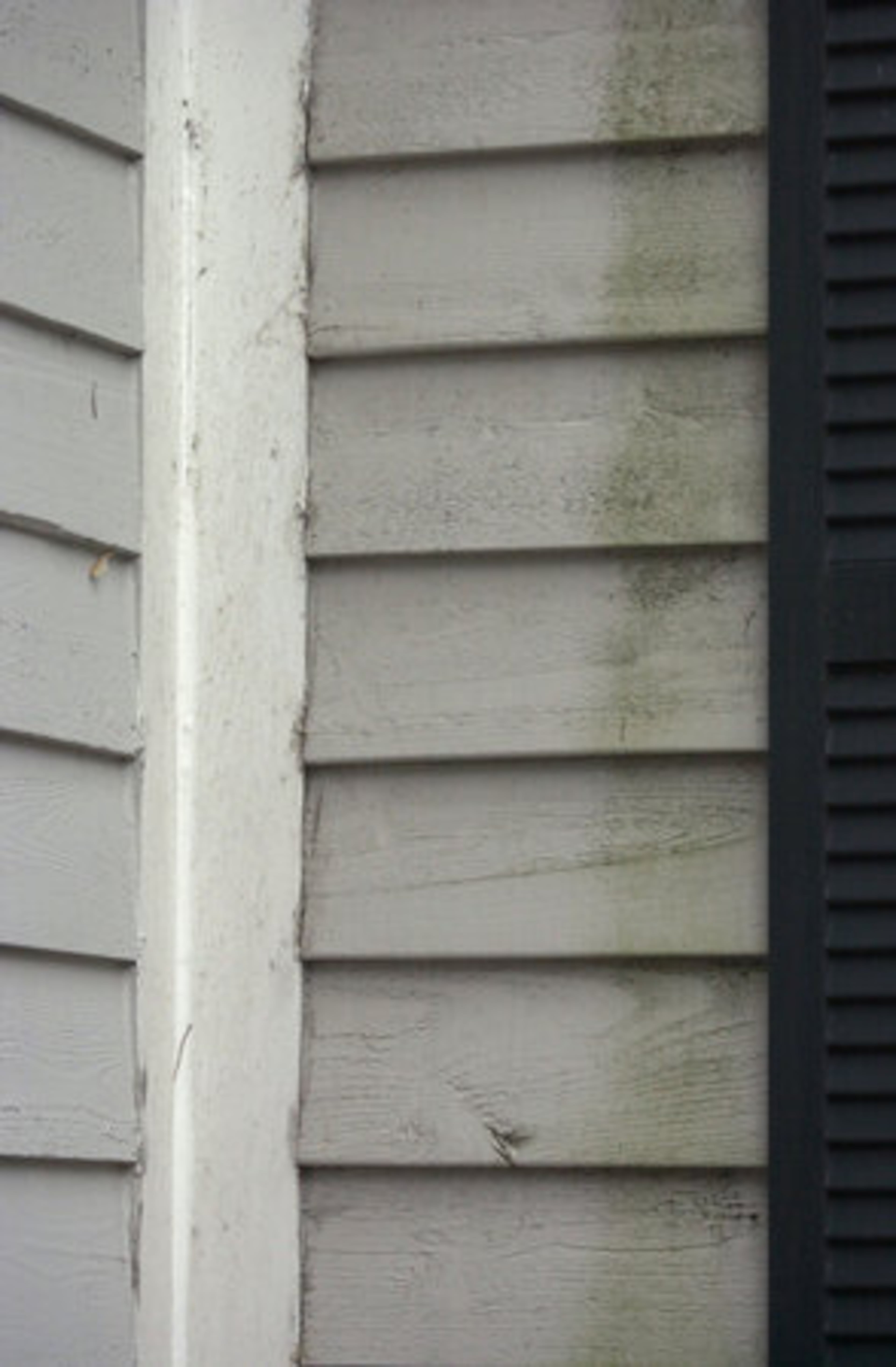 Don't forget the exterior of your home when it comes to spring cleaning! The dreary winter months may have brought rain, ice and snow, but as the sun starts to shine more, a dirty home exterior really stands out in all of the wrong ways. Check your local watering laws when it comes to power washing; there are also professional companies that offer this service.