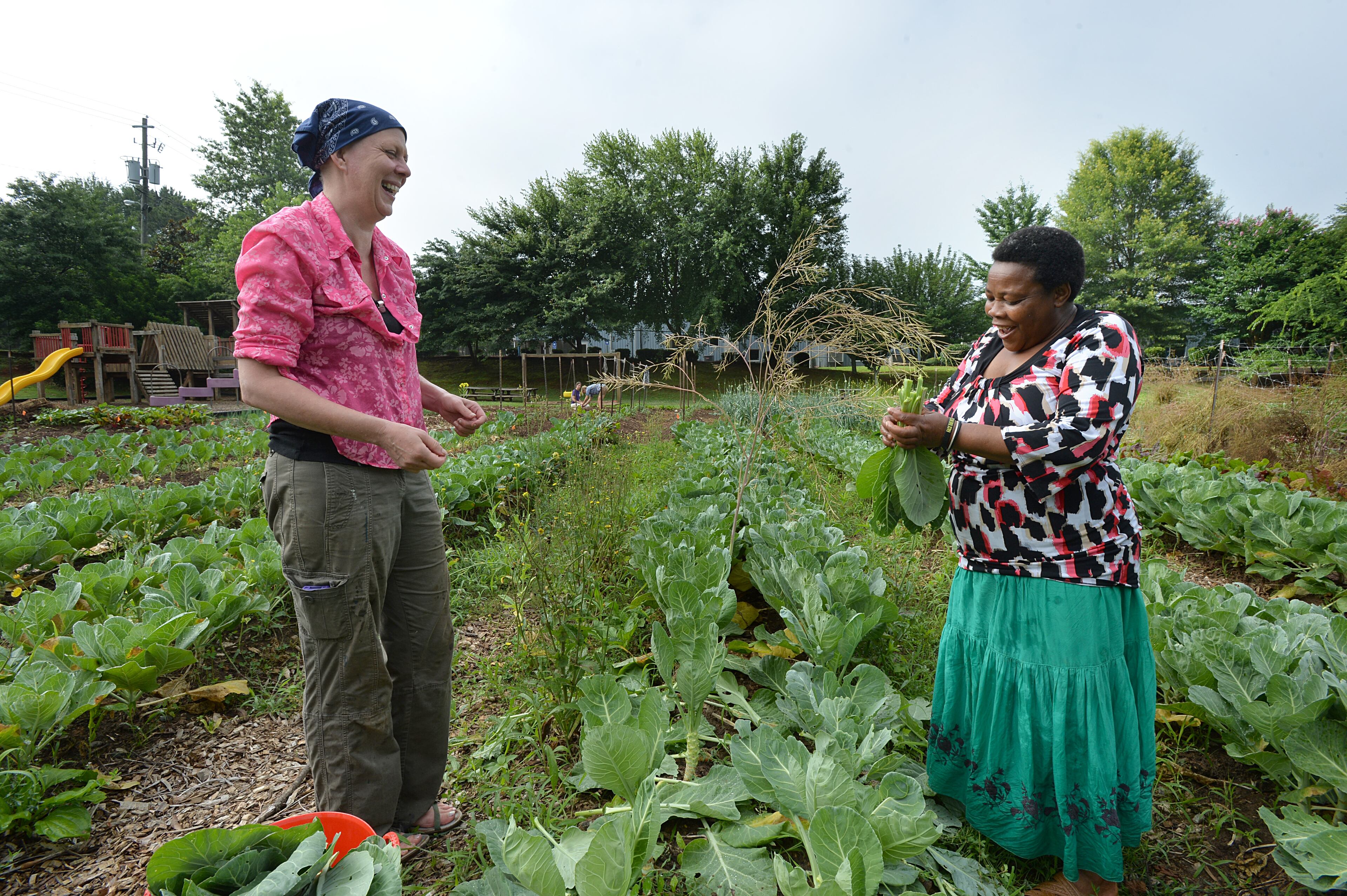 Susan Pavlin (left), founder of Global Growers Network, talks with Halieth Hatungimana, who is originally from Burundi, as Pavlin helps her harvest collard at Burundi Women's Farm in Decatur on Saturday, June 14, 2014. HYOSUB SHIN / HSHIN@AJC.COM