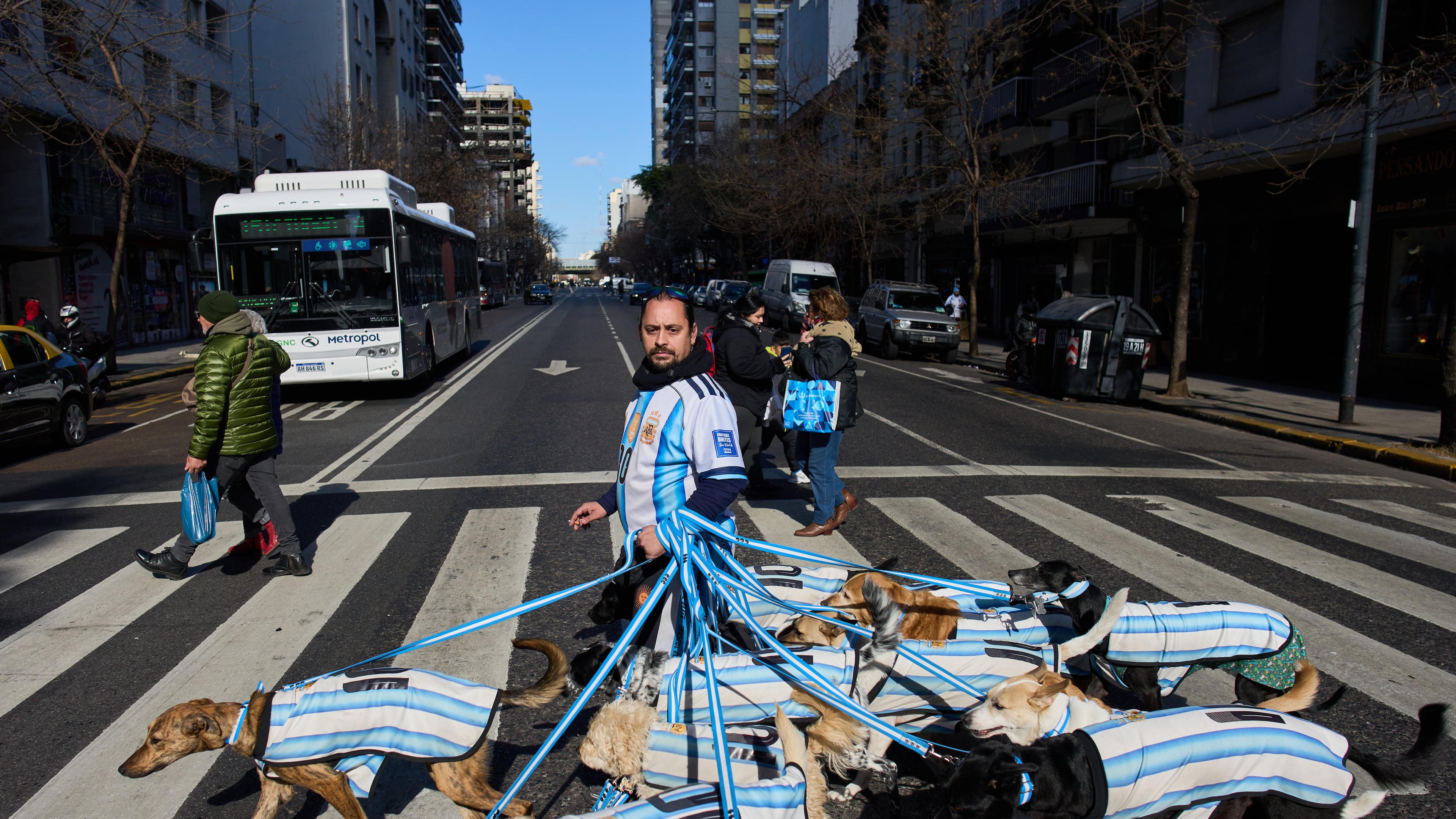 Dog walker Nahuel Meneghini walks dogs dressed in jerseys of the Argentine national soccer team in Buenos Aires, Argentina, Thursday, July 2, 2026. (AP Photo/Rodrigo Abd)