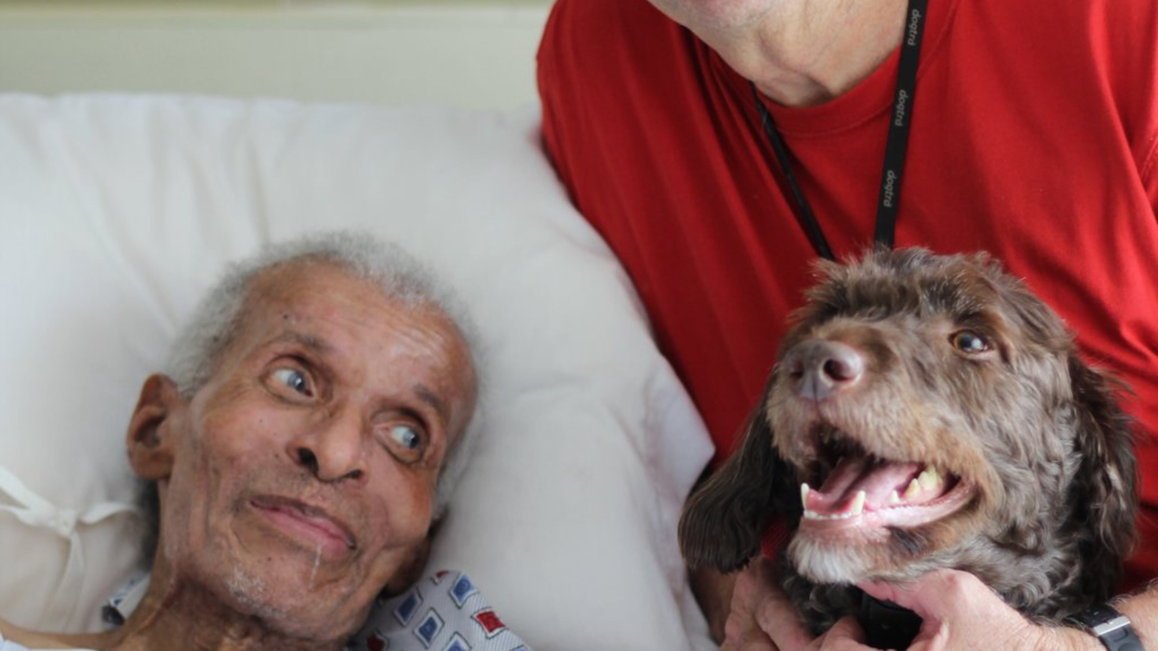 Willie Hill, a veteran of the Korean War and resident of Scepter nursing facility, get a visit from Jerry Wilson and his labradoodle, Rascal. CONTRIBUTED