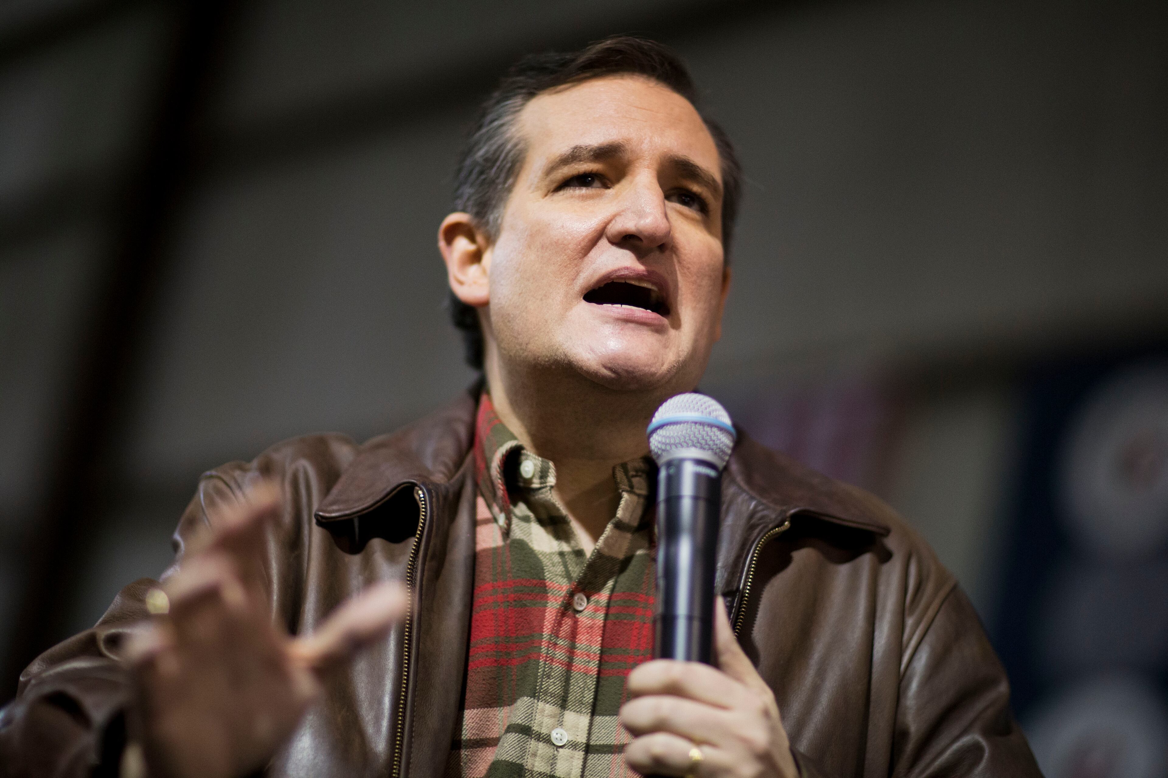 Republican presidential candidate, Sen. Ted Cruz, R-Texas, speaks during a campaign event in an airport hanger Friday, Dec. 18, 2015, in Kennesaw, Ga. (AP Photo/David Goldman)