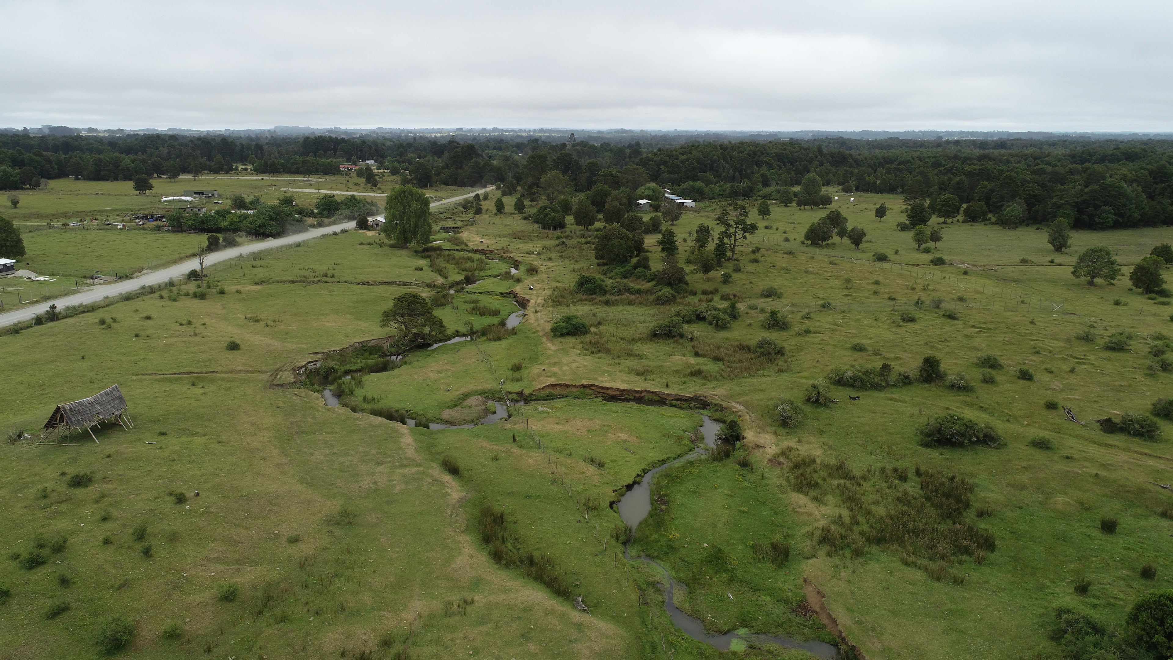 This 2023 image provided by Todd Surovell shows the Monte Verde archaeological site and Chinchihuapi Creek in Chile. (Todd Surovell via AP)