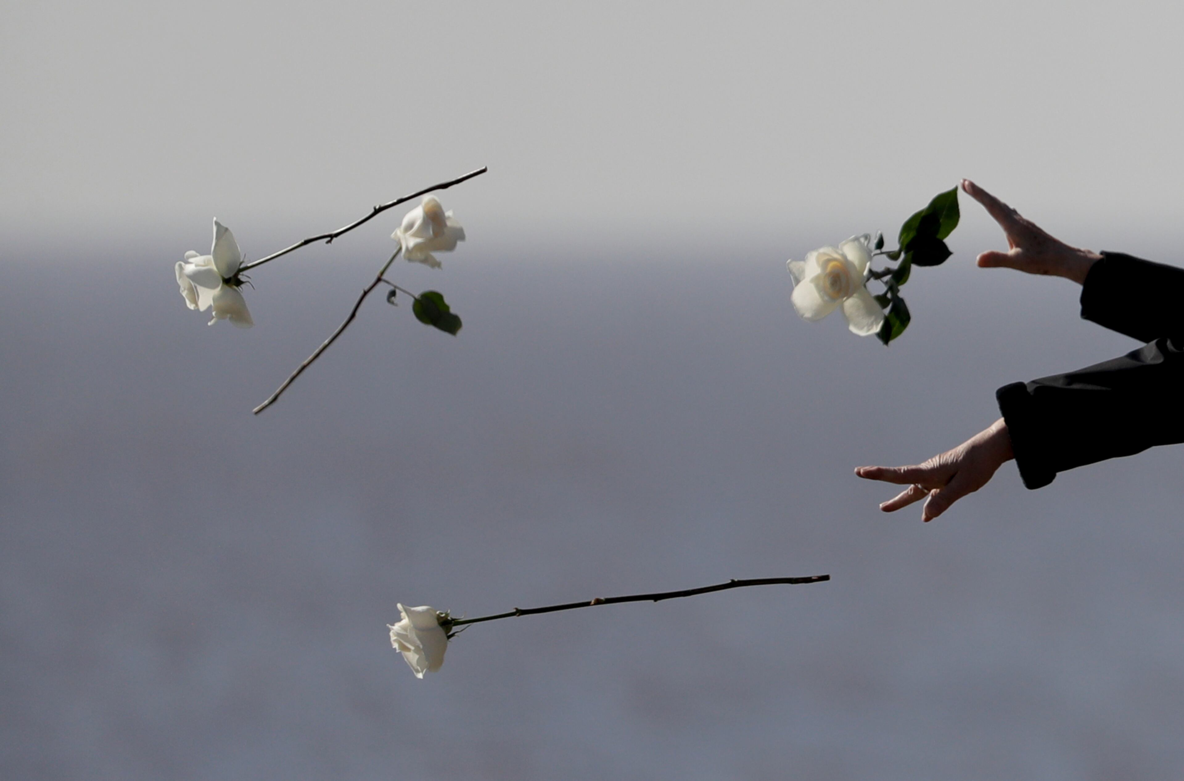 Chile's President Michelle Bachelet, bottom, throws a flower in the river during a visit to Memory Park which honors the victims of the country's dictatorship, in Buenos Aires, Argentina, Thursday, July 20, 2017. (AP Photo/Natacha Pisarenko)