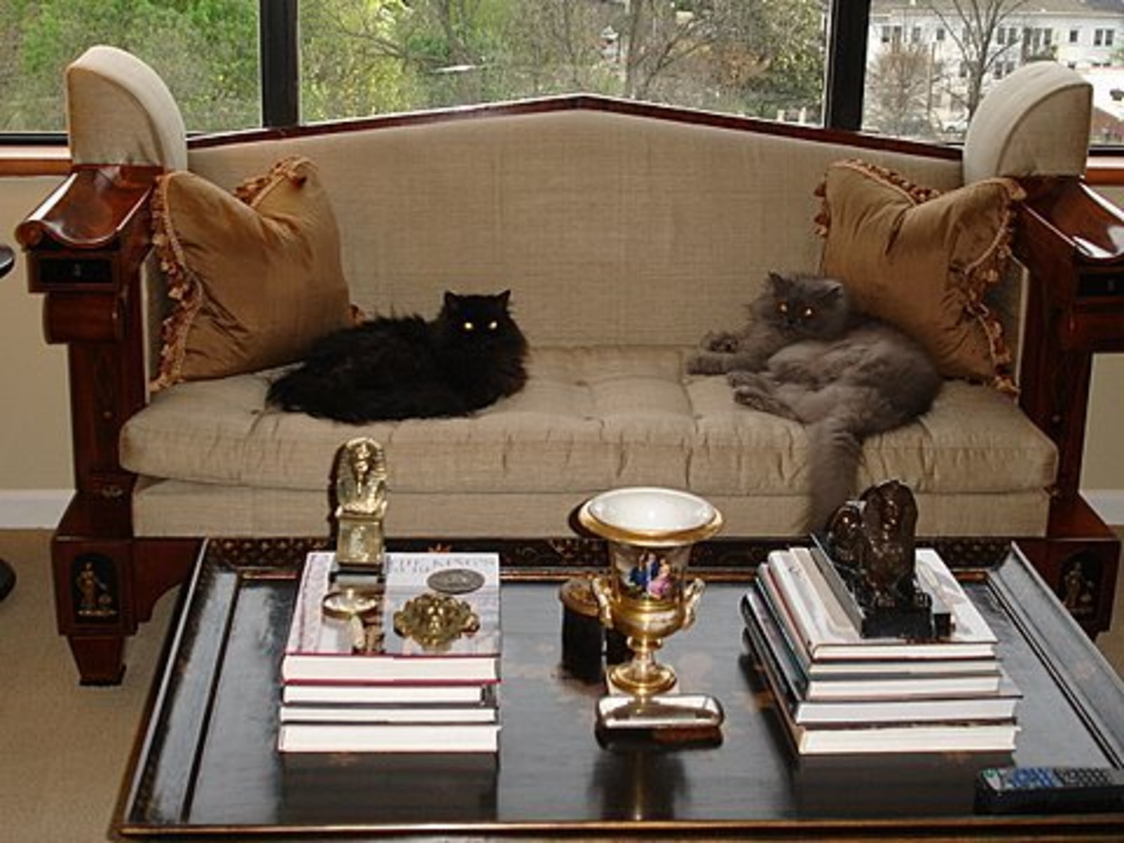 Genevieve and Paddington will happily pose for the camera...but there better be high-quality treats involved.