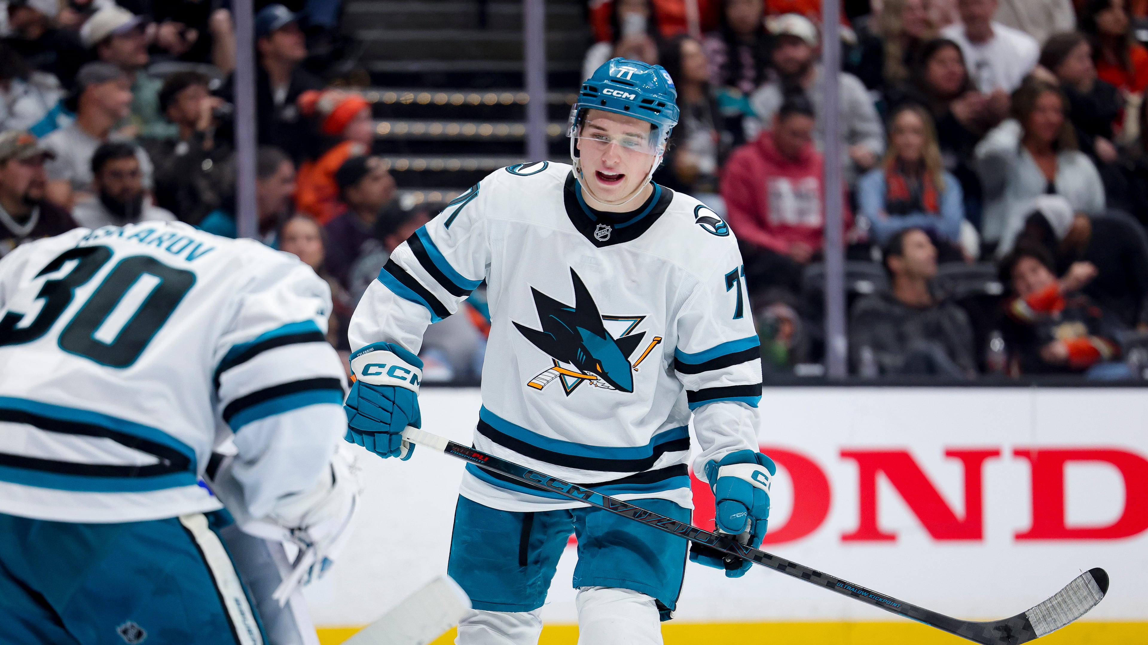 FILE - San Jose Sharks center Macklin Celebrini, right, talks with goaltender Yaroslav Askarov during the third period of an NHL hockey game against the Anaheim Ducks, April 9, 2026, in Anaheim, Calif. (AP Photo/Ryan Sun, File)