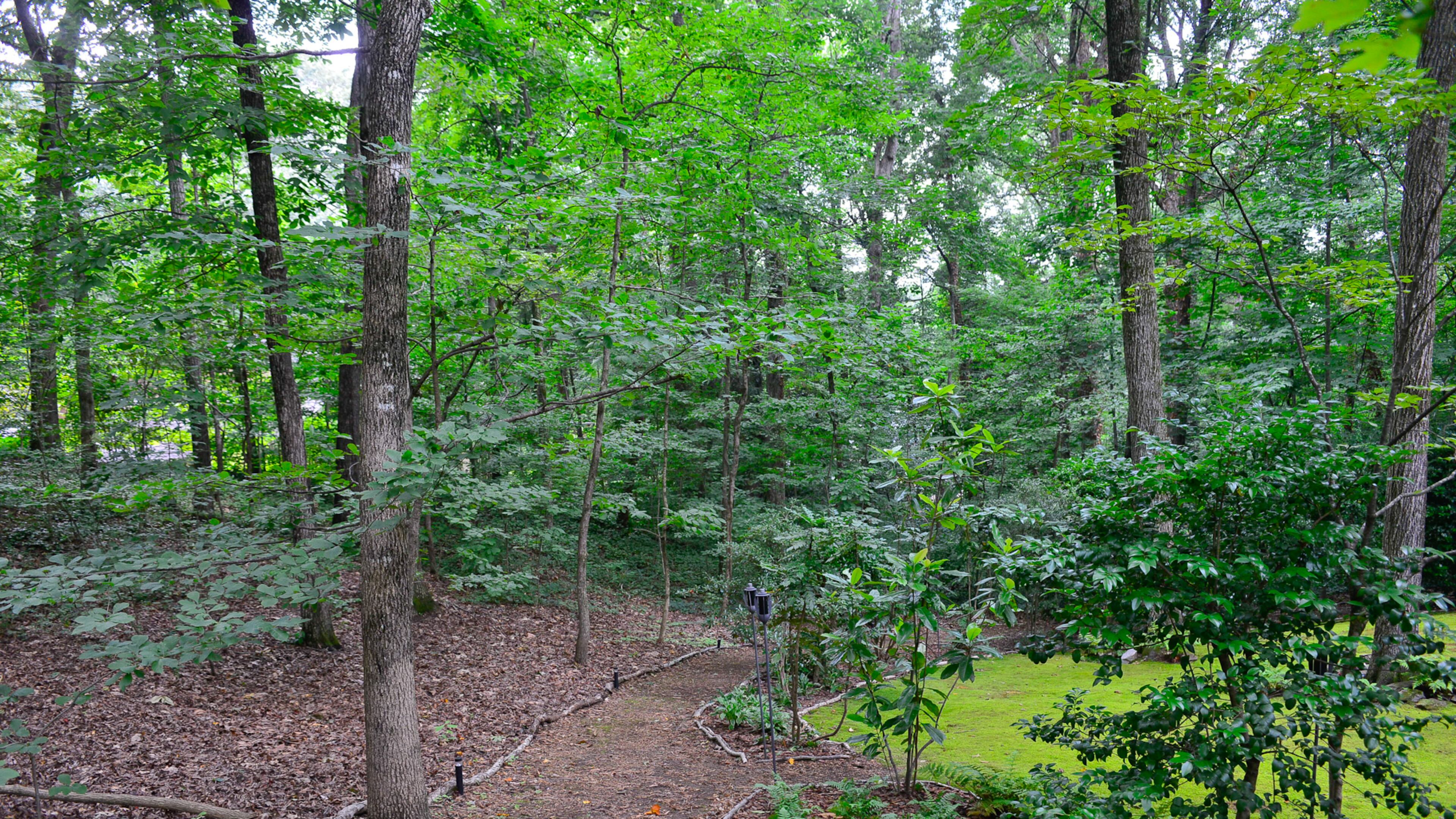 This one-acre Atlanta homeowner has a lot filled with hardwood trees. In nearby Decatur, saving neighborhood trees has become a major civic issue.