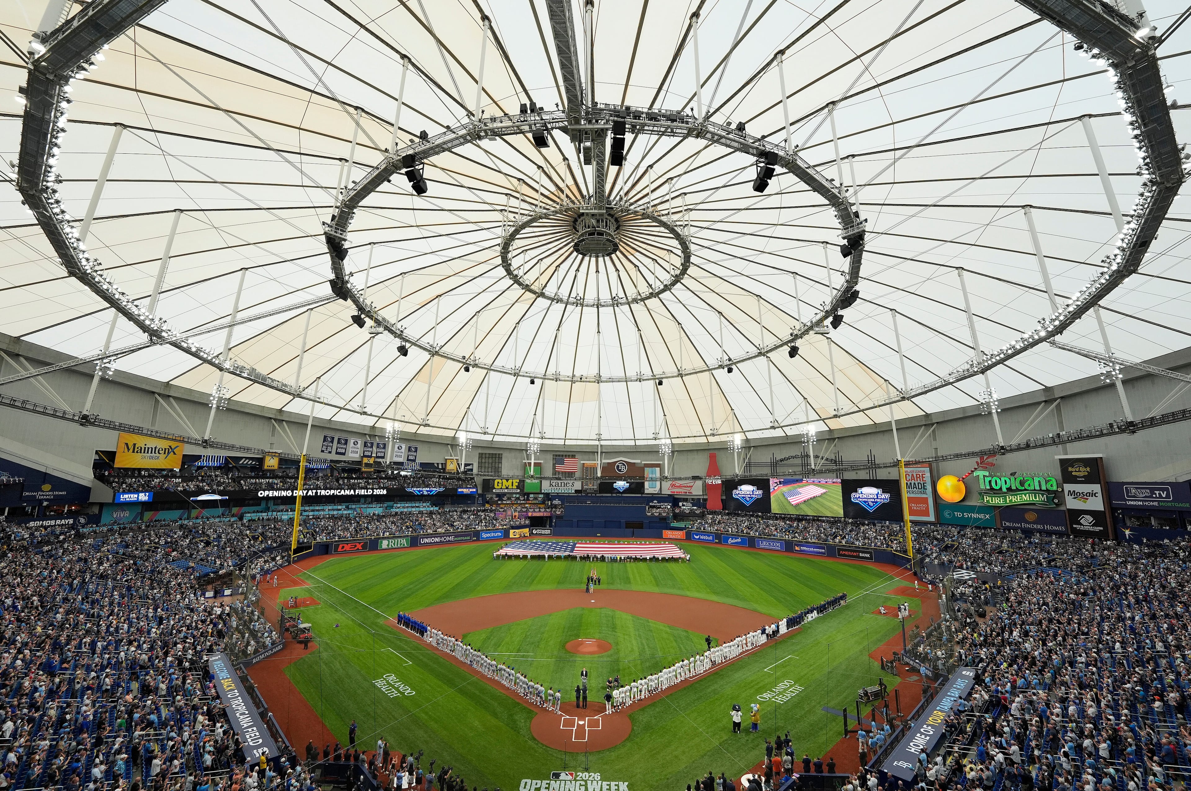 Rays Ballpark Baseball