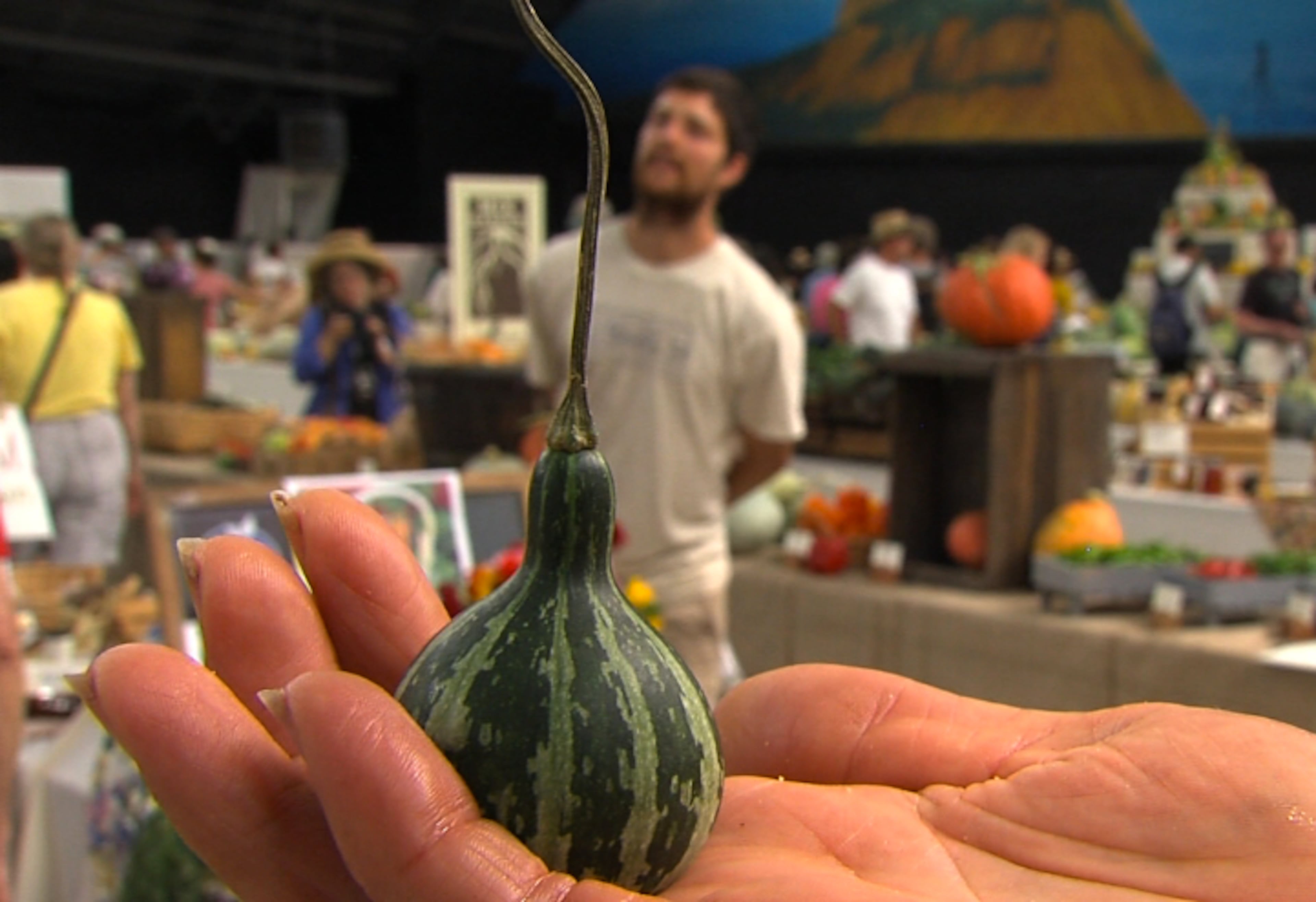 The exposition is going on September 12th, and 13th at the Sonoma County Fairgrounds in Santa Rosa.