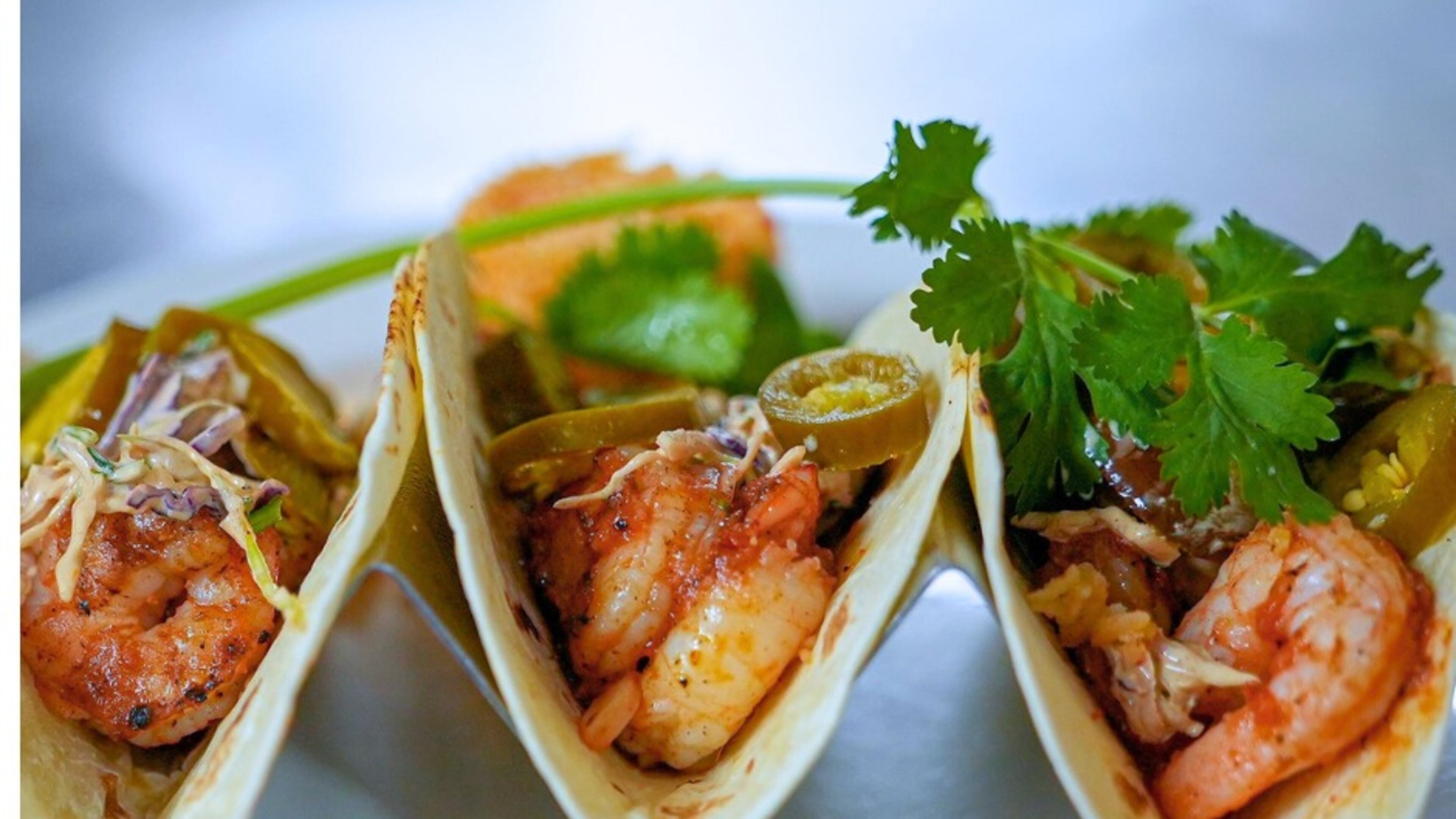 Tacos from the menu of El Gordo Taqueria, opening in the Echo Street West development. / Courtesy of Echo Street West