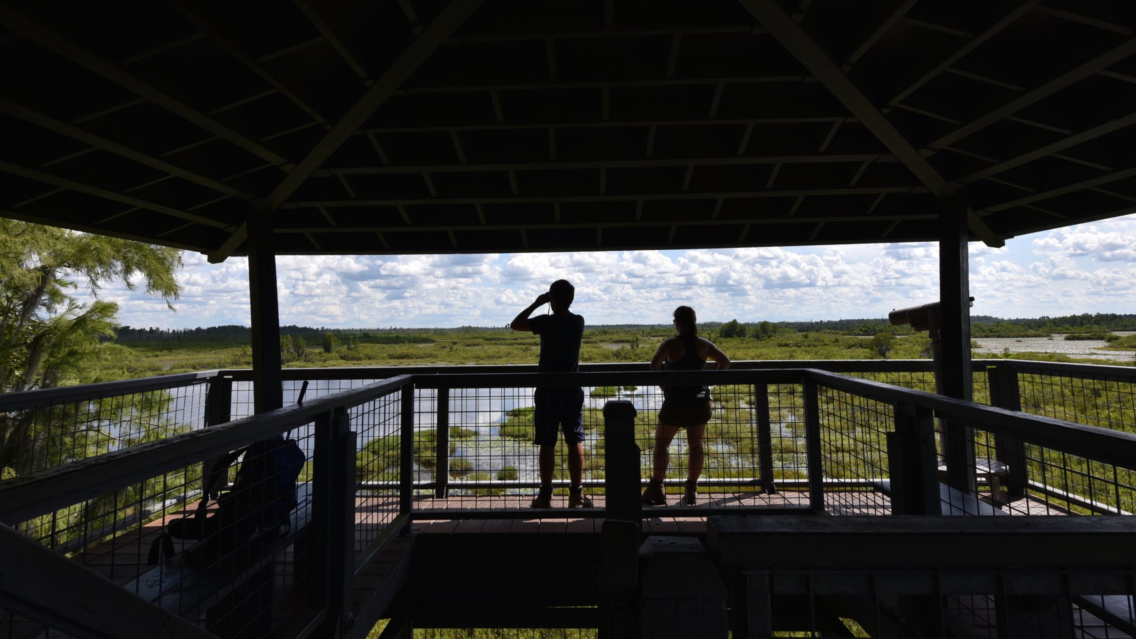 Tourists enjoy the view from the Owls Roost Tower in Okefenokee National Wildlife Refuge in Folkston. HYOSUB SHIN / HYOSUB.SHIN@AJC.COM