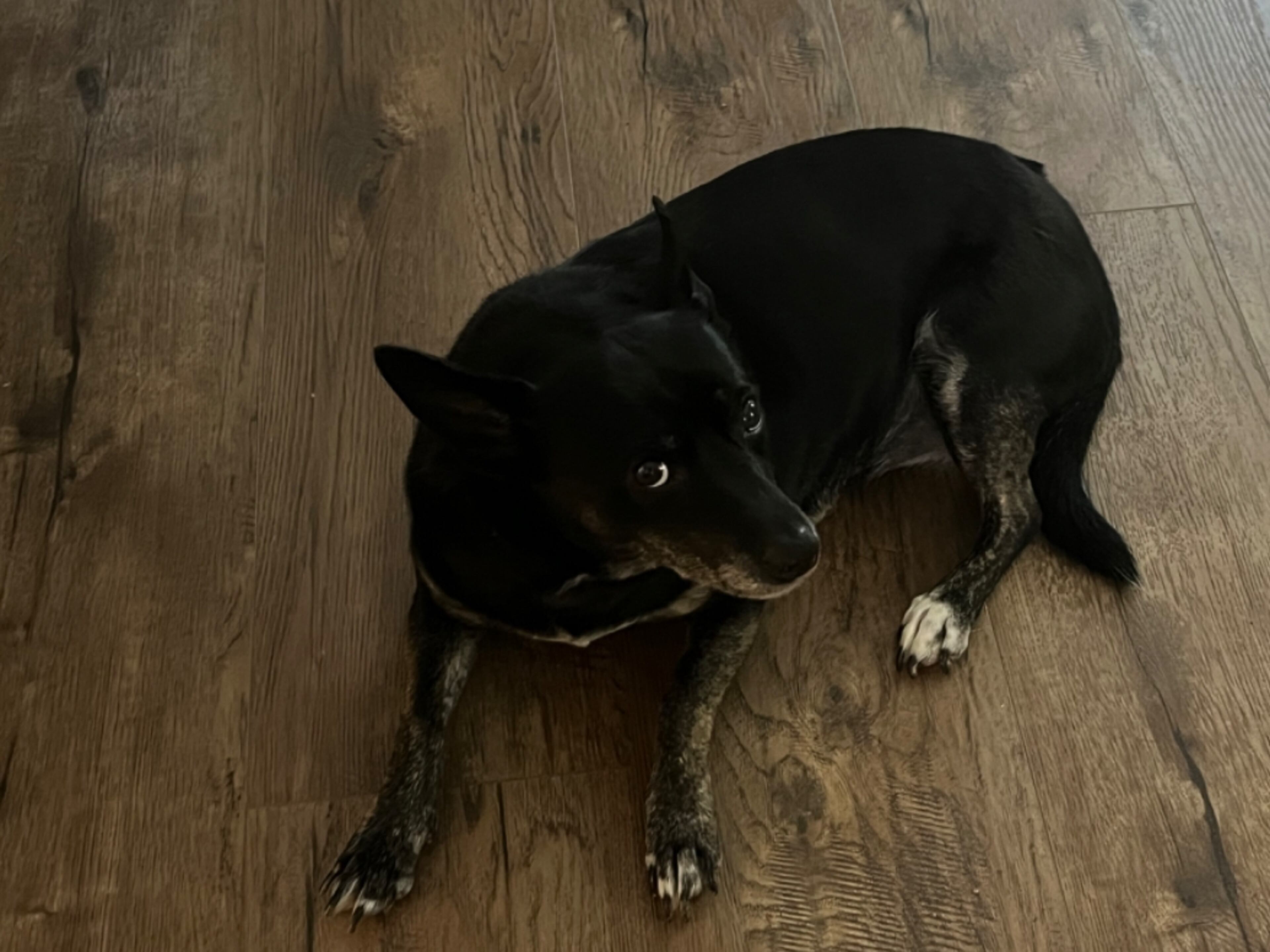 Sadie Downey calls Jason Downey her person. Downey is the chair of the Georgia State Board of Education. (Courtesy photo)