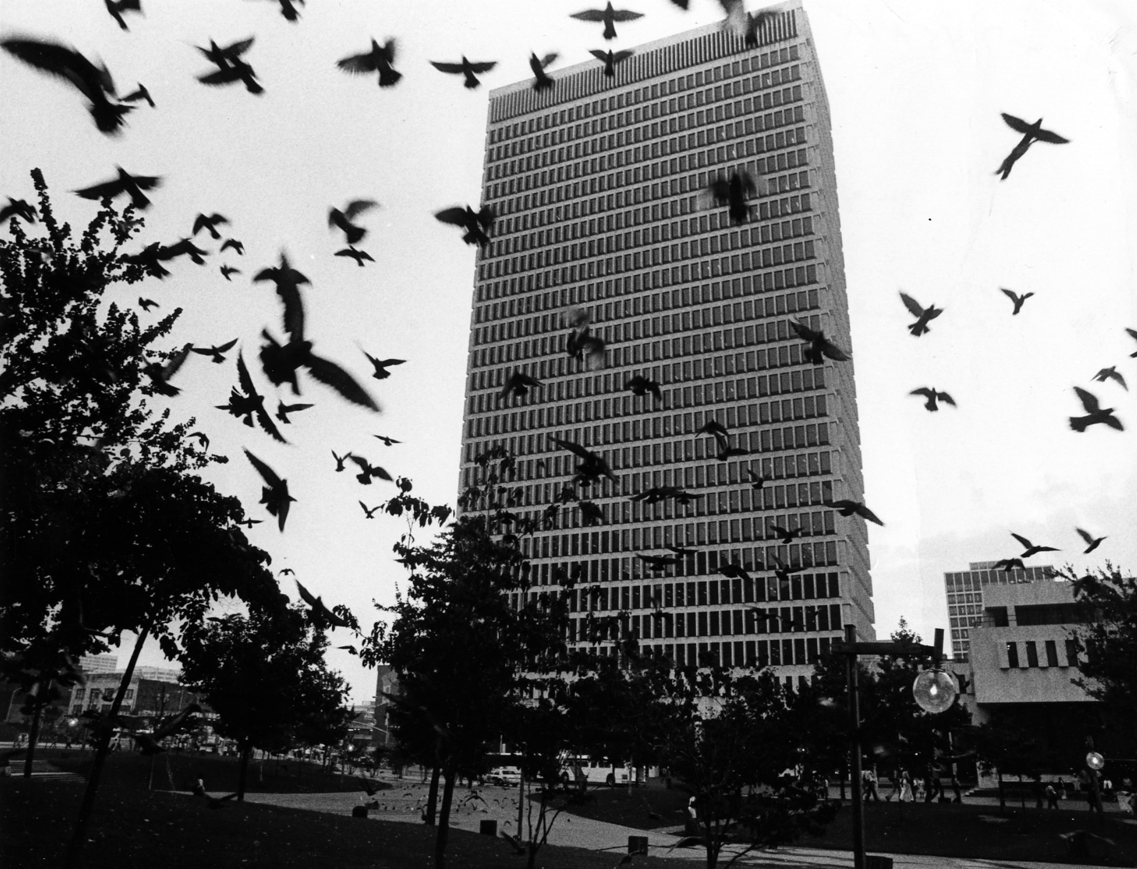 Pigeons fly up from Central City Park (now known as Woodruff Park) in front of the Trust Company Bank building in 1979.