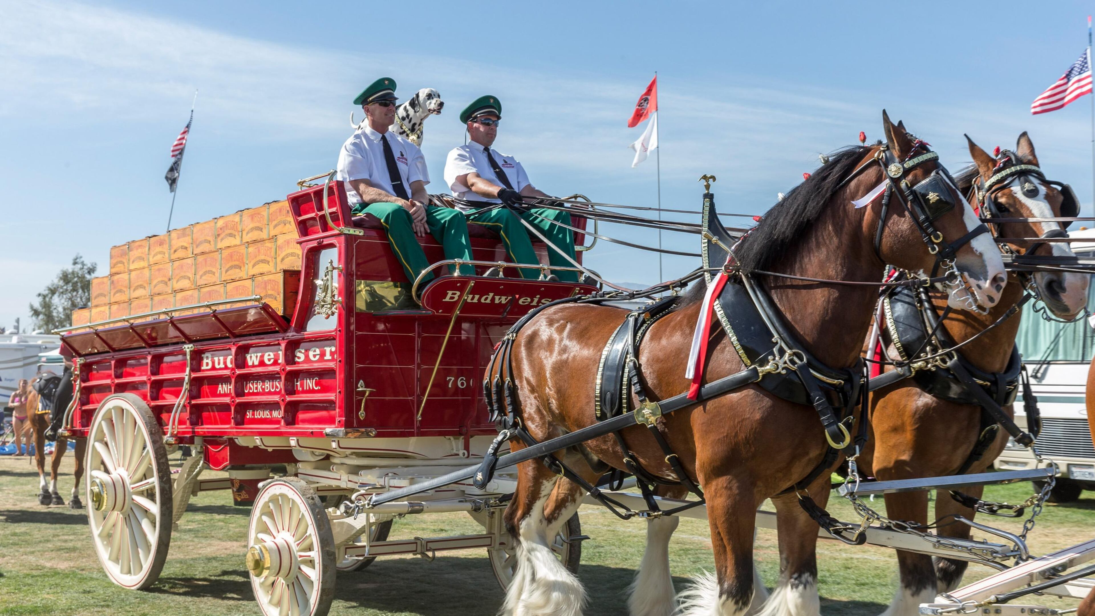 FILE PHOTO: The Budweiser Clydesdale red wagon is seen during day 1 of 2014 Stagecoach: California's Country Music Festival at the Empire Polo Club on April 25, 2014 in Indio, California. (Photo by Rich Polk/Getty Images for Stagecoach)