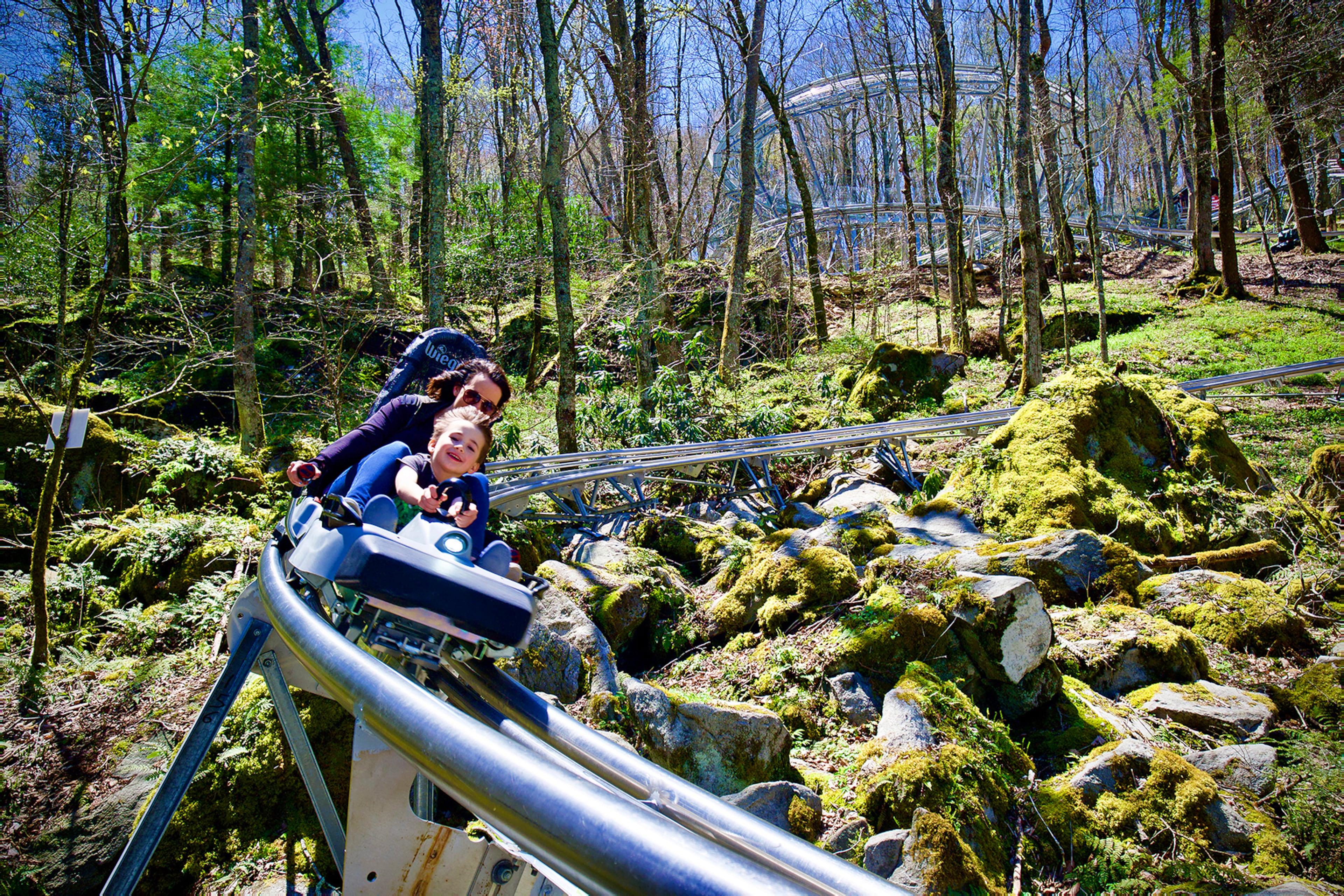 Wilderness Run Alpine Coaster opened in Banner Elk, North Carolina, in May.
Courtesy Wilderness Run Alpine Coaster