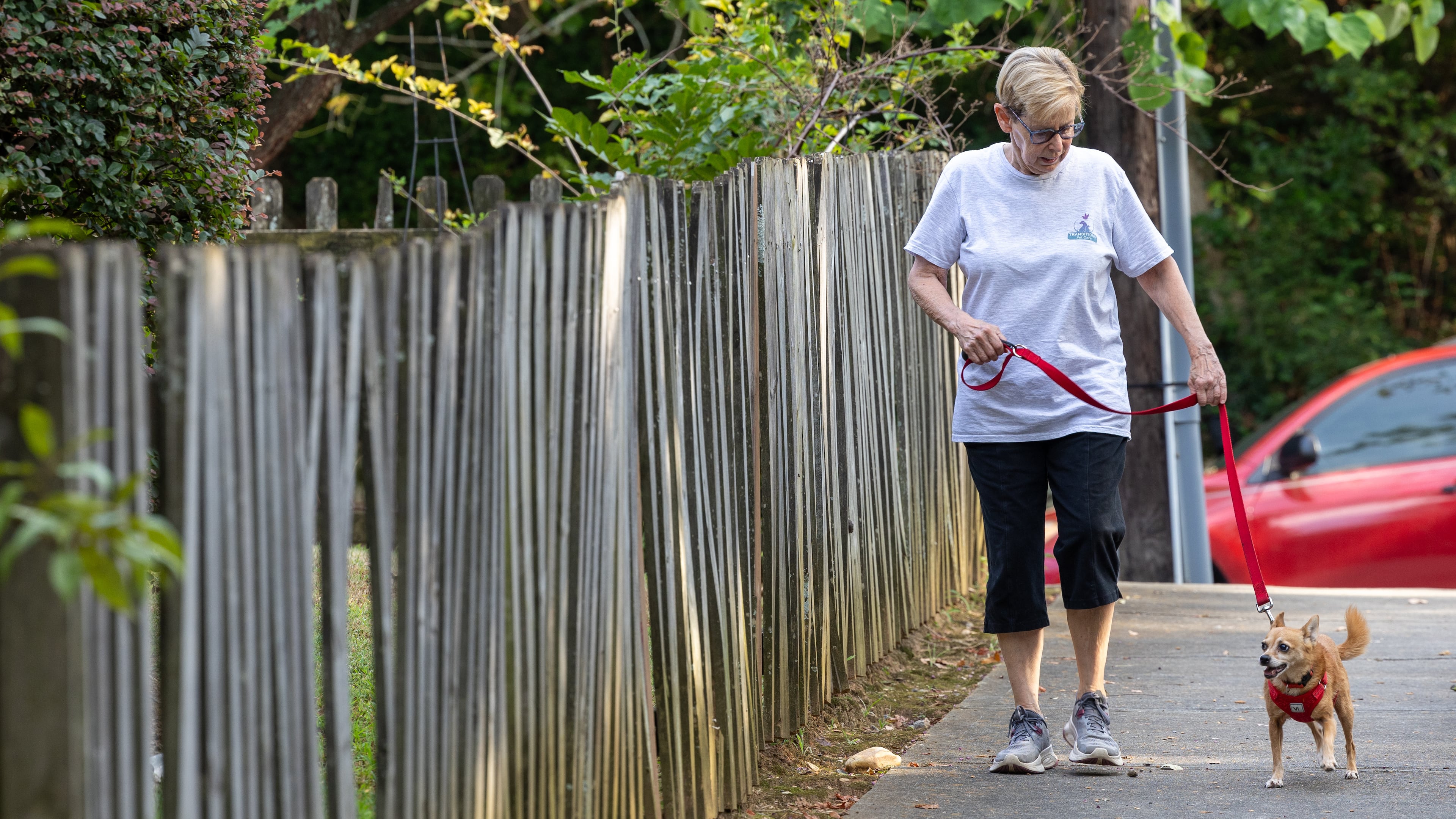 Volunteer Lois Gross walks Baby for a client in Decatur. PHIL SKINNER FOR THE ATLANTA JOURNAL-CONSTITUTION