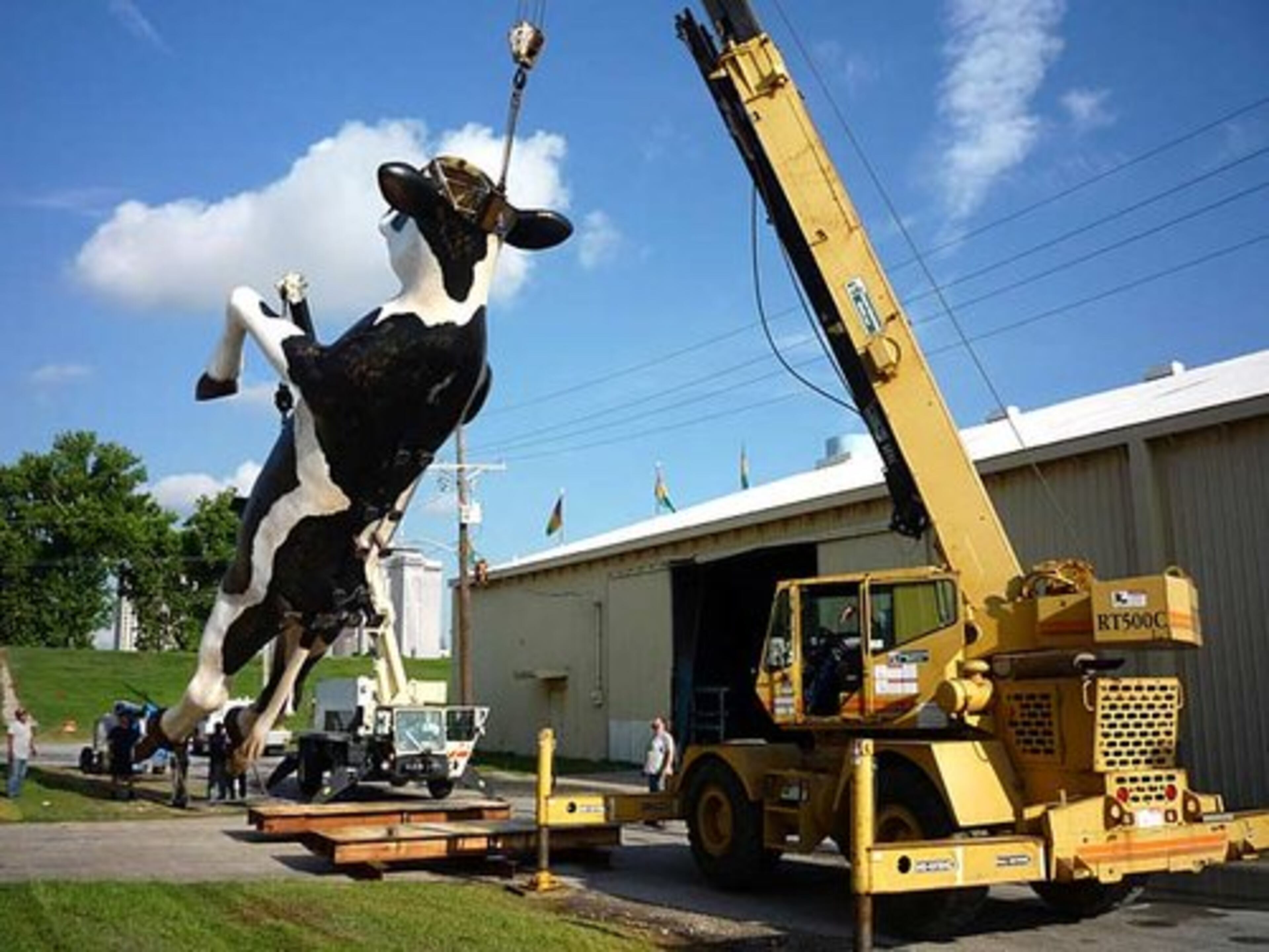 The cow leaves Kern Studios in New Orleans. Kern fabricated the cow in its Valencia, Spain, facility and then shipped it to New Orleans this spring.