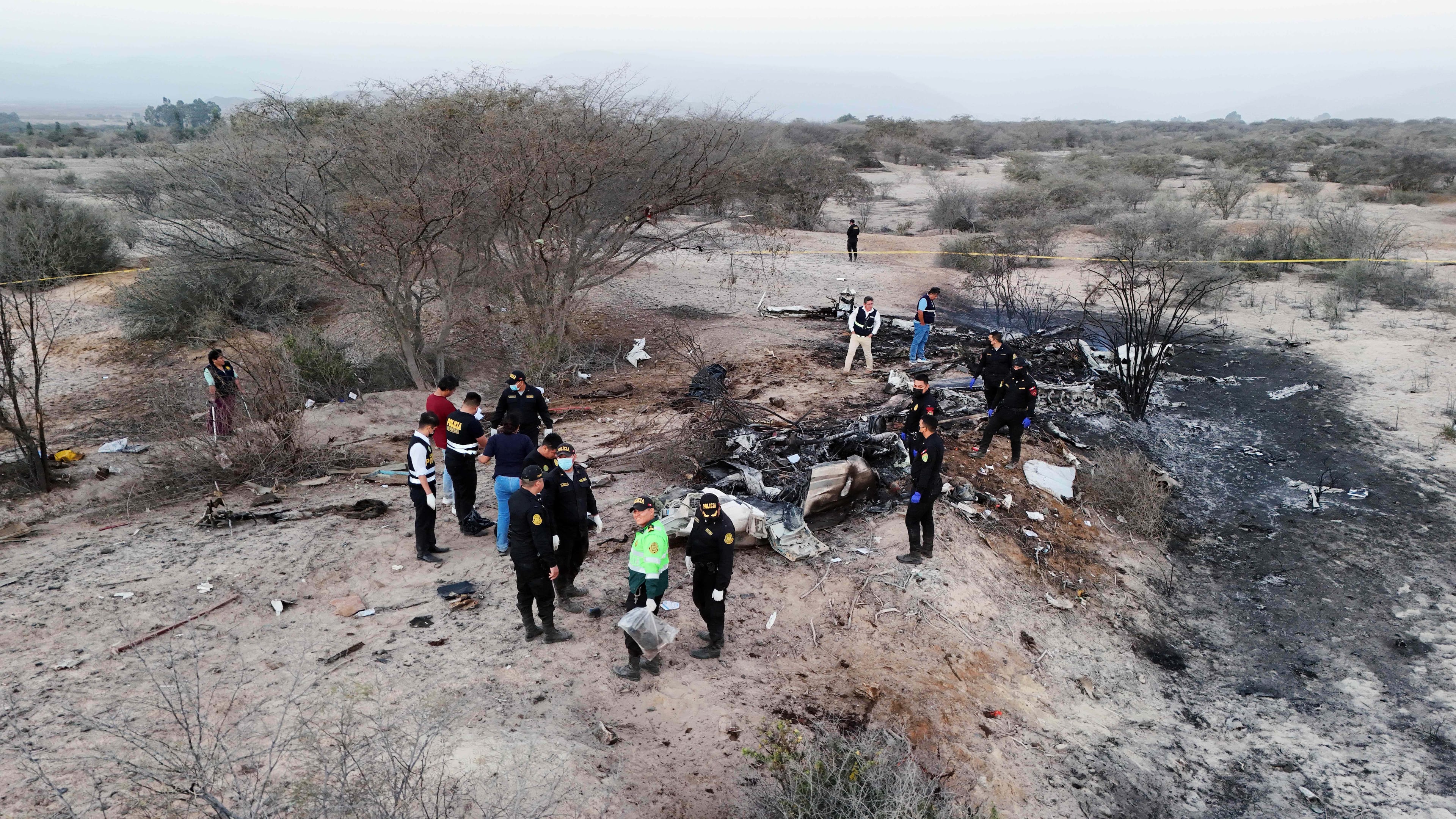 Police inspect the wreckage of a plane that crashed during a sightseeing flight carrying tourists over the Nazca Lines in Peru, Saturday, Aug. 1, 2026. (AP Photo/Genry Bautista)