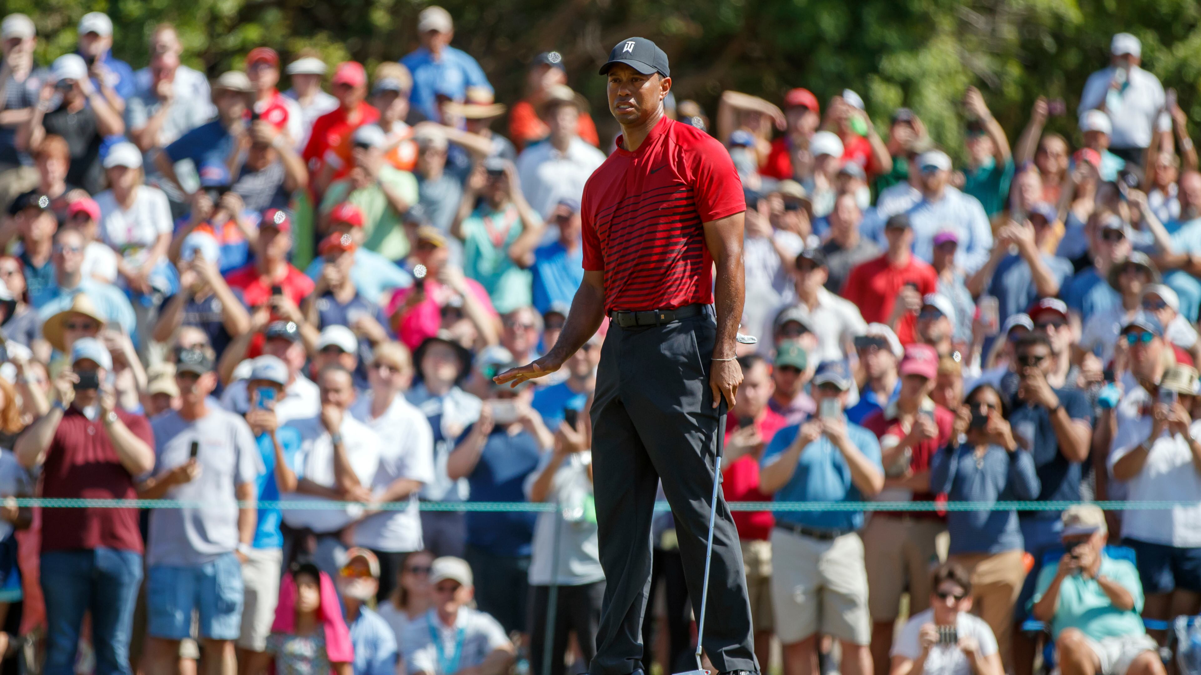 The Tiger Woods watching party - as seen here Sunday at Innisbrook - now moves on to Orlando next week. (AP Photo/Mike Carlson)