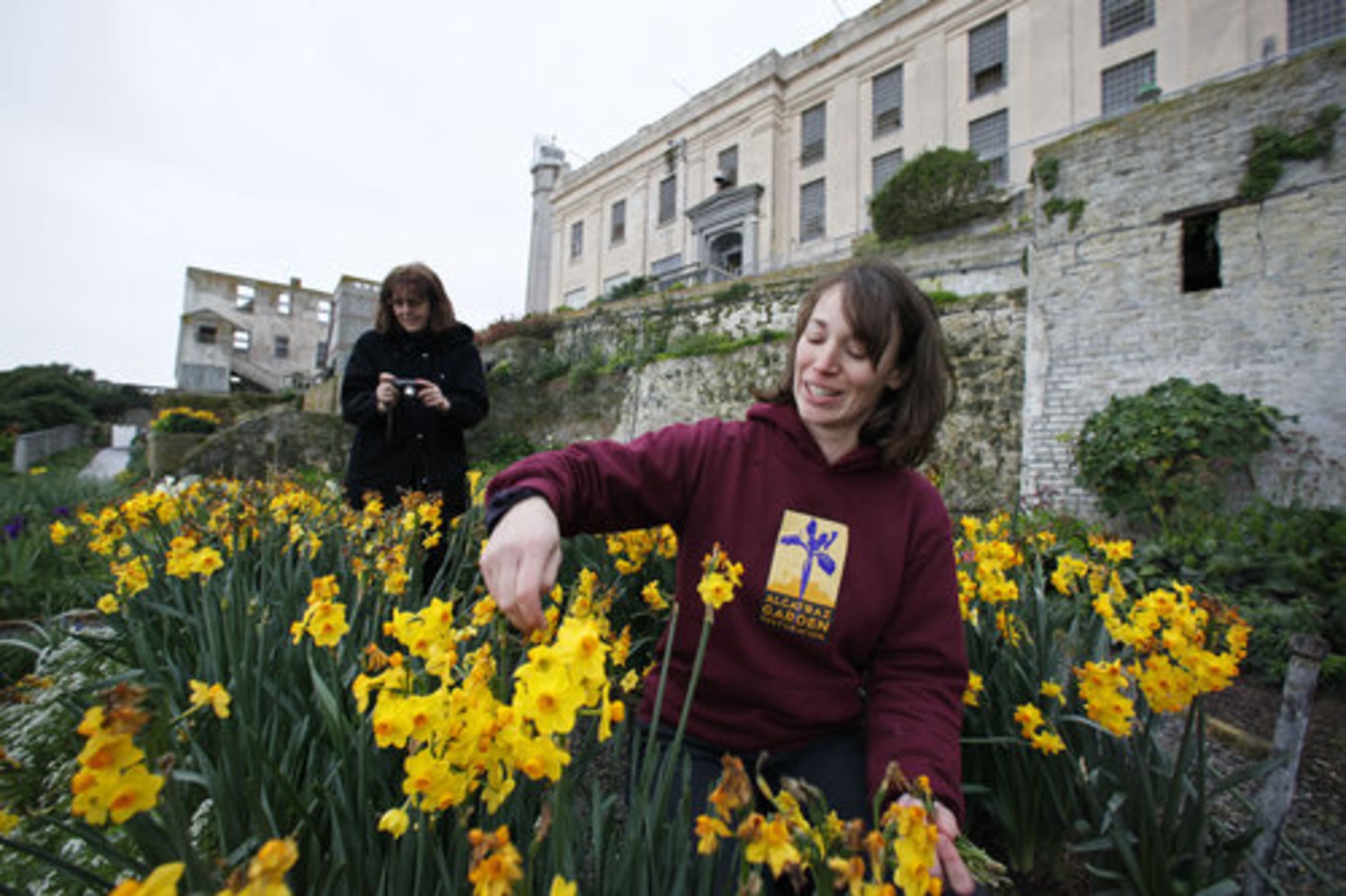 Shelagh Fritz, right, project manager of the Alcatraz Historic Gardens Project, tends to flowers along Officers Row as Dawn Stranne, left, of the Gardens Conservancy, takes pictures in the gardens on Alcatraz Island in San Francisco.