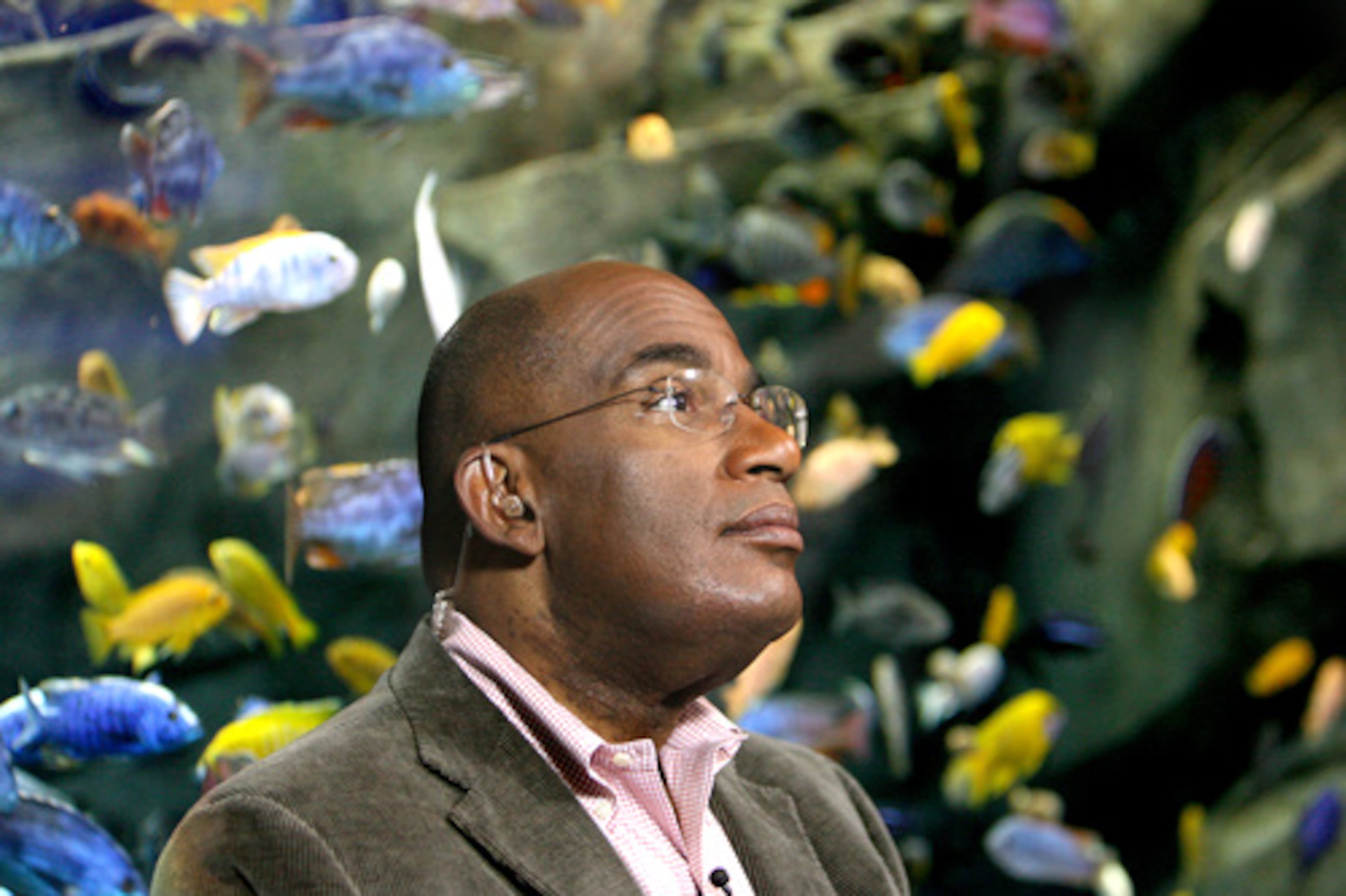 Al Roker waits for his shot at River Scout.