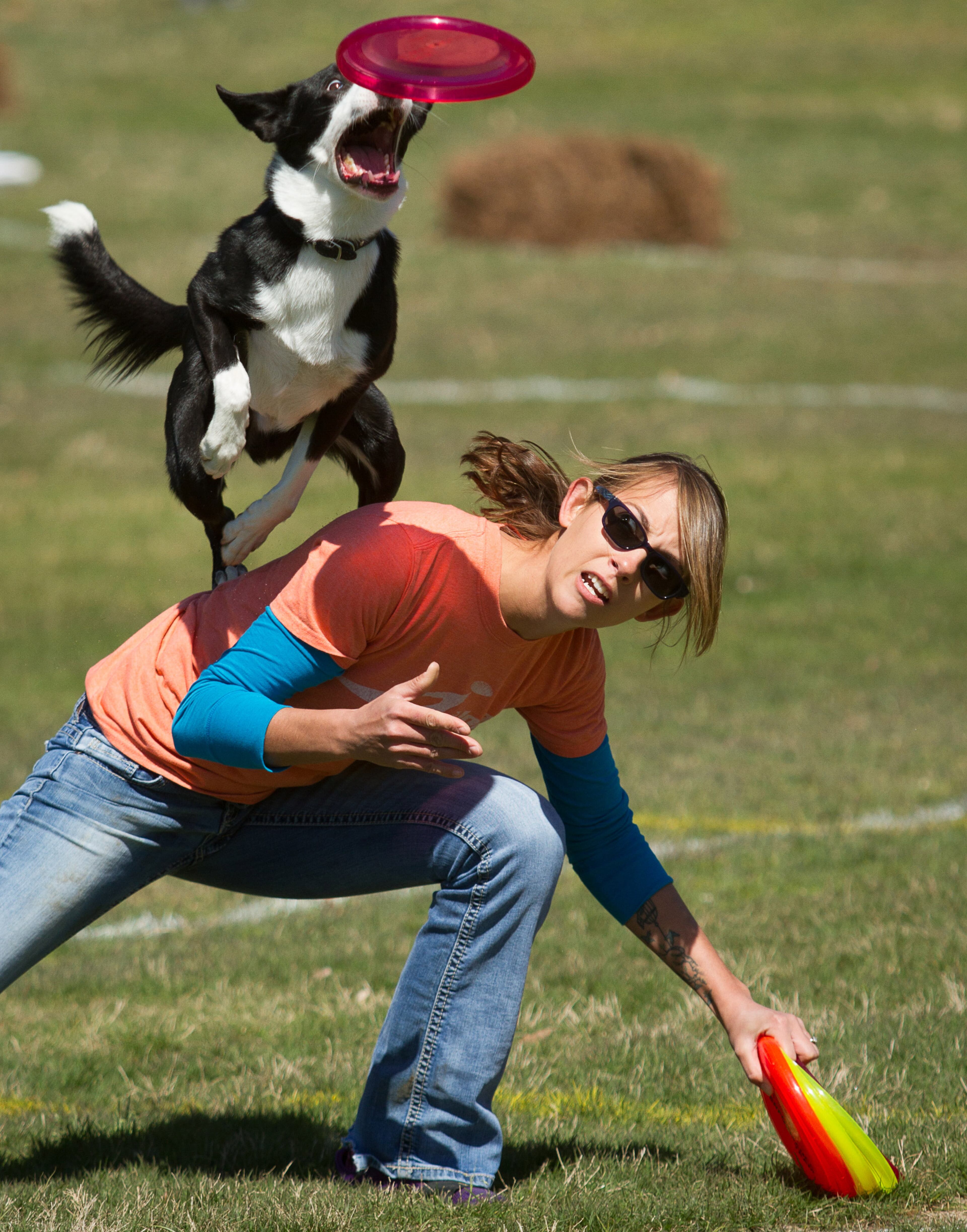 Sara Brueske tosses her dog Zip Tie a disk during the Freestyle competition at the 2016 Disc Dog Southern Nationals Qualifier tournament at Piedmont Park in Midtown Saturday April 9, 2016. STEVE SCHAEFER / SPECIAL TO THE AJC