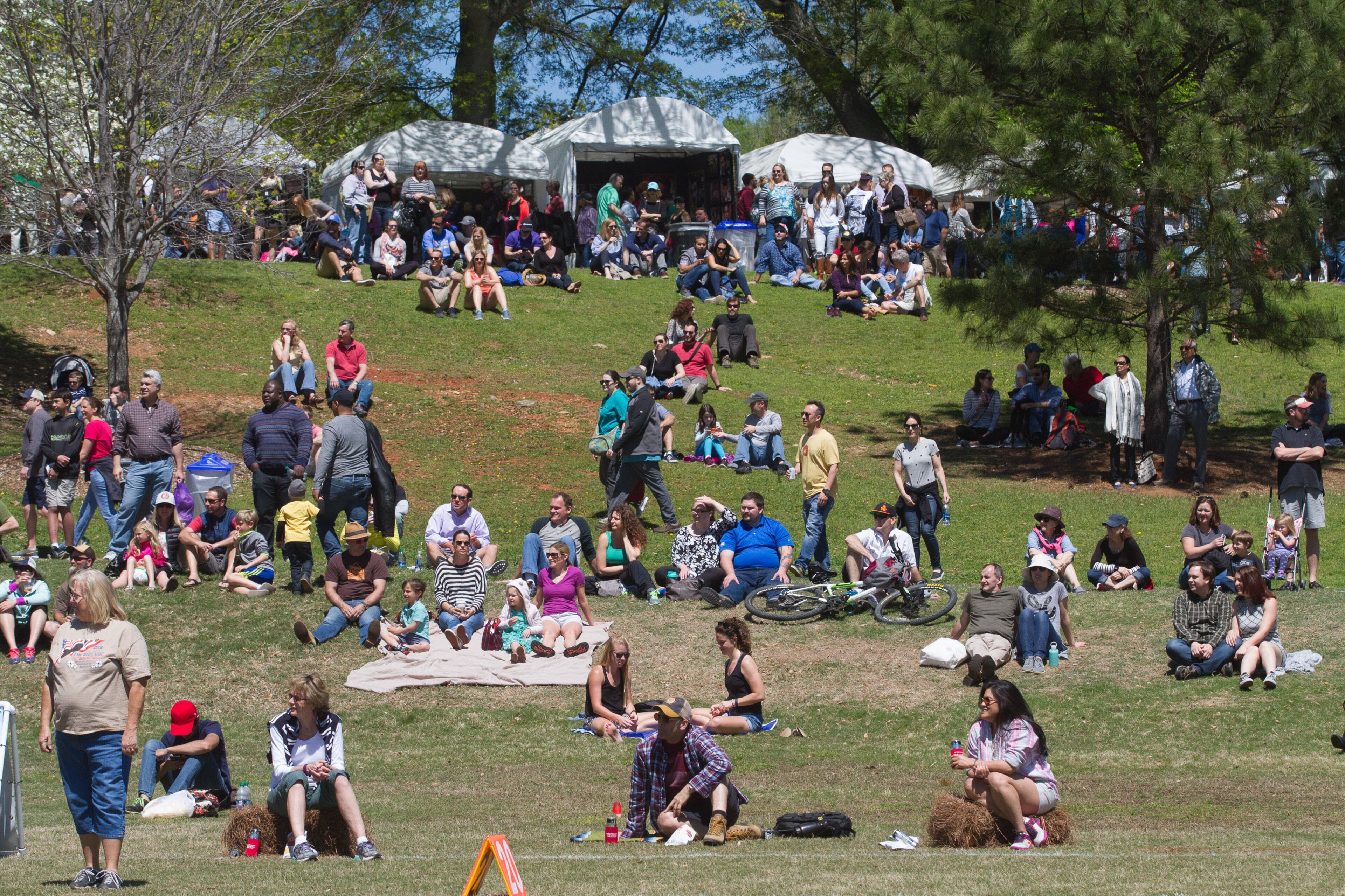 A crowd watches the Southern Disc Dog Nationals during the 81st Annual Atlanta Dogwood Festival Saturday in Atlanta, Ga April 8, 2017. STEVE SCHAEFER / SPECIAL TO THE AJC