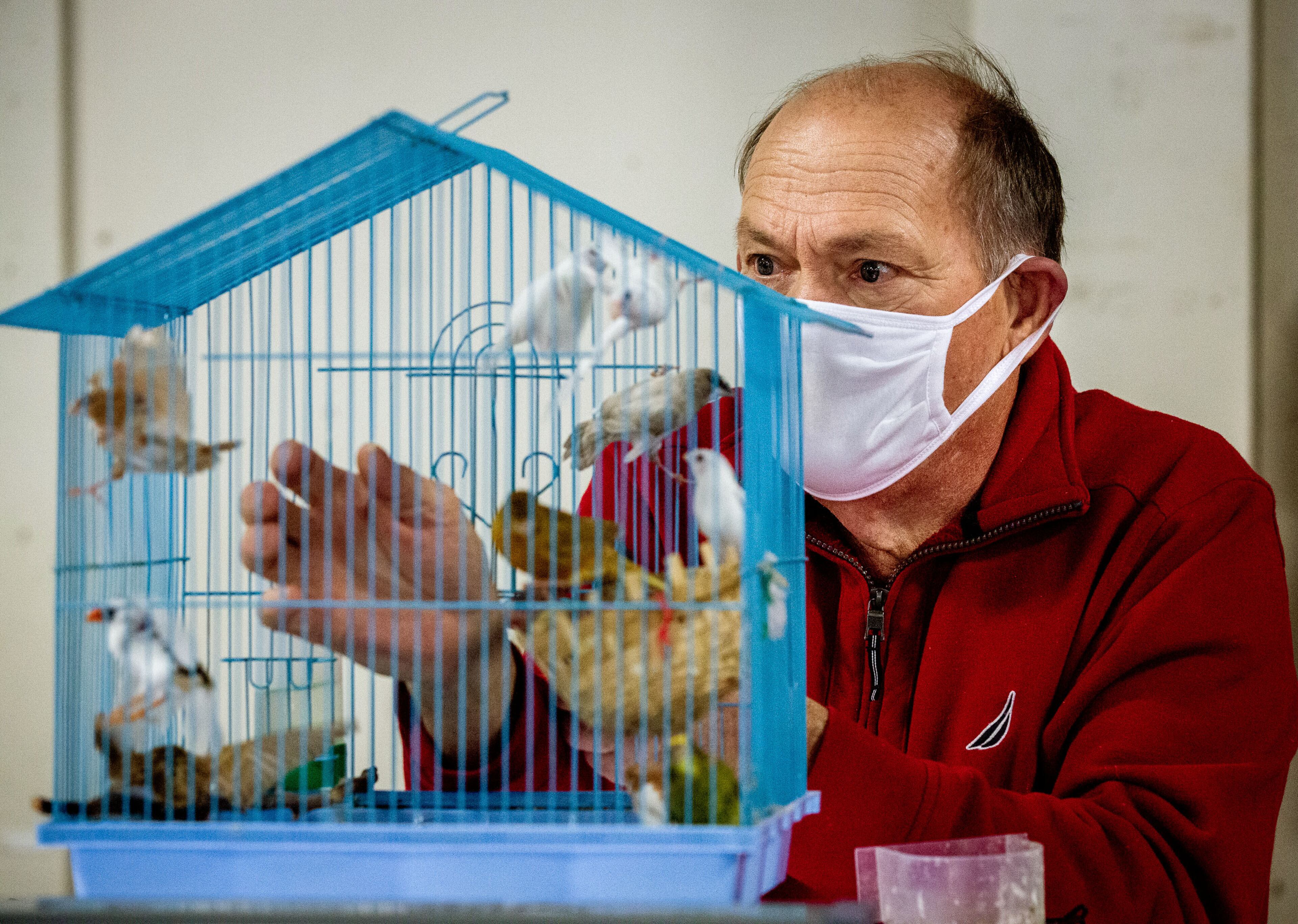 Floyd Barnett tries to catch a bird for a customer at the Southeast Exotic Bird Fair at the Gwinnett County Fairgrounds on Saturday, December 5, 2020. (Photo: Steve Schaefer for The Atlanta Journal-Constitution)