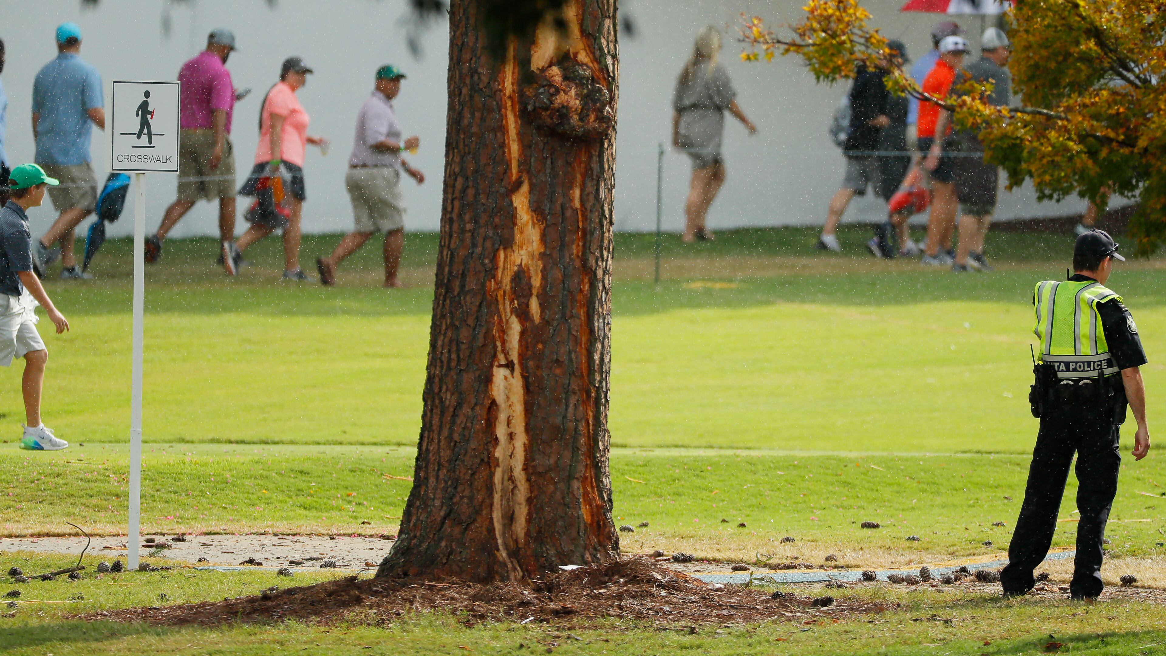 Fans exit East Lake past the pine tree scarred by a lightning strike Saturday afternoon. (Photo by Kevin C. Cox/Getty Images)
