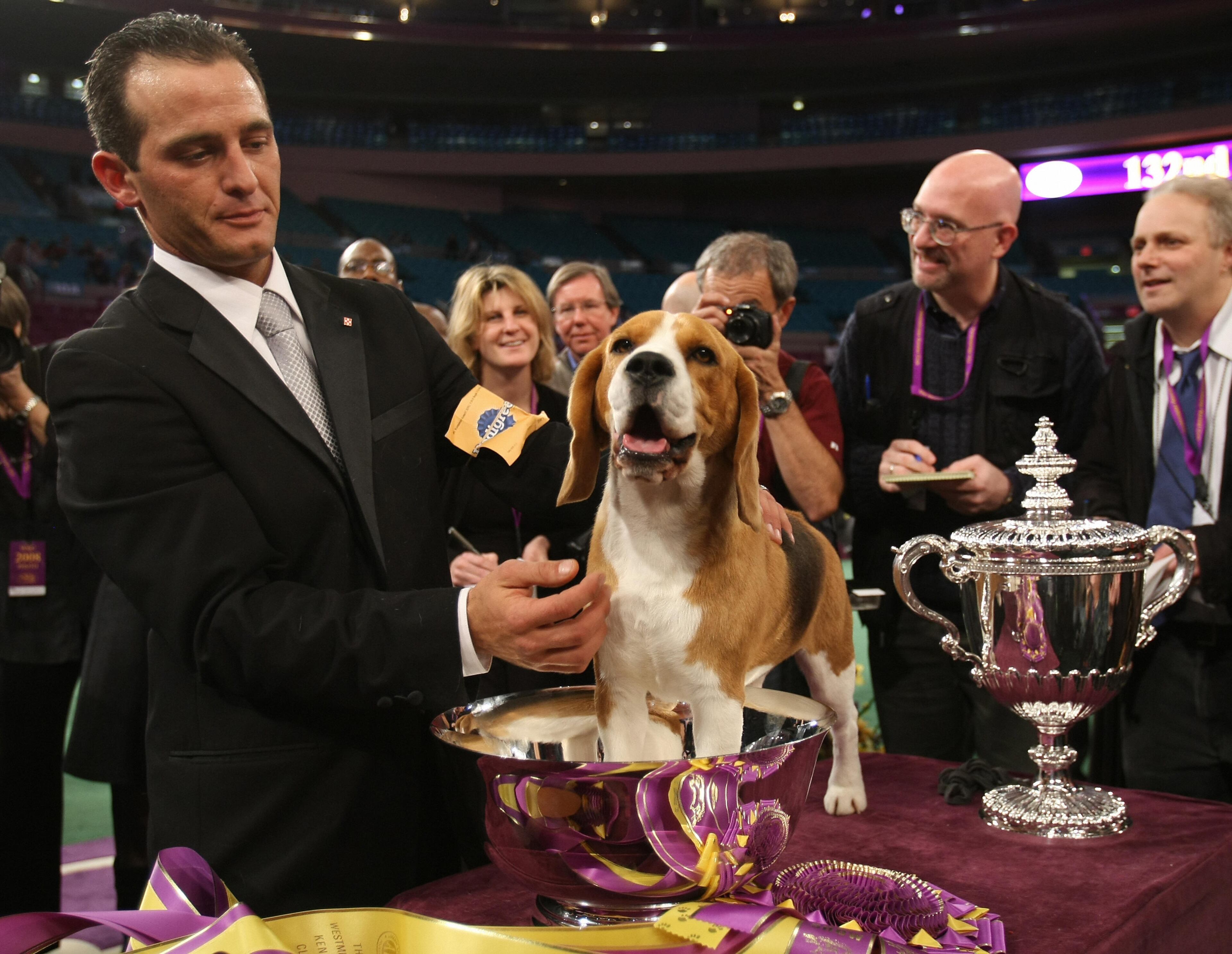 Aaron Wilkerson puts Uno the Beagle in his cup after winning Best in Show at the 132nd Westminster Kennel Club Annual Dog Show at Madison Square Garden February 12, 2008 in New York City. The dog show,established in 1877, is America's oldest organization dedicated to the sport of purebred dogs. AFP PHOTO / Timothy A. CLARY (Photo credit should read TIMOTHY A. CLARY/AFP/Getty Images)