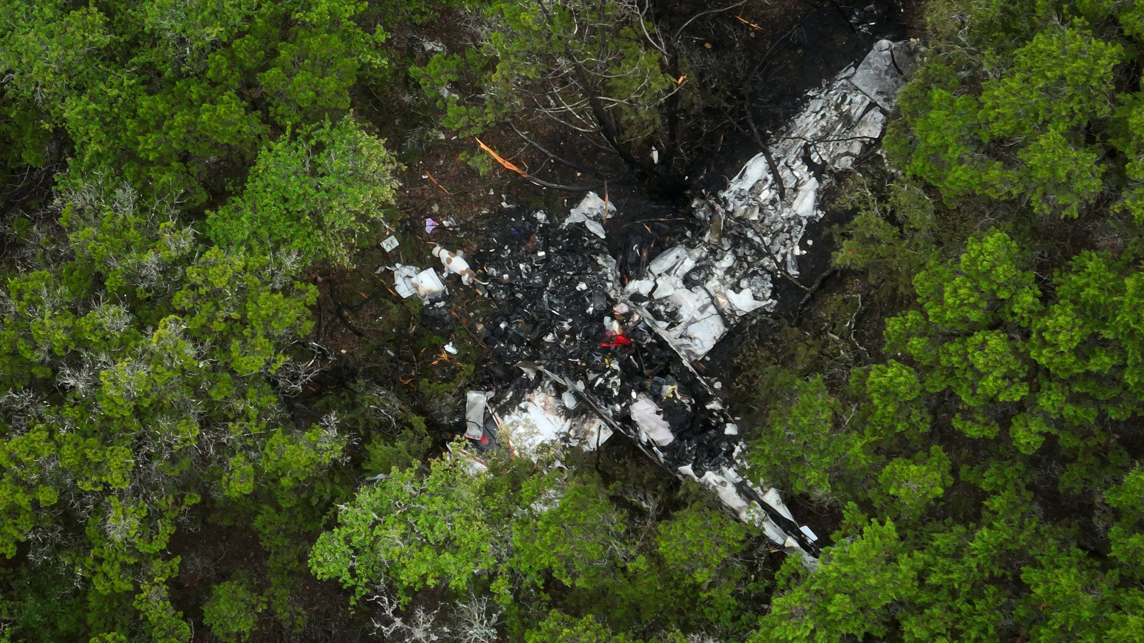 A crashed Cessna airplane is seen in a wooded area on Round Rock Road in Wimberley, Texas, Friday, May 1, 2026. (Jay Janner/Austin American-Statesman via AP)