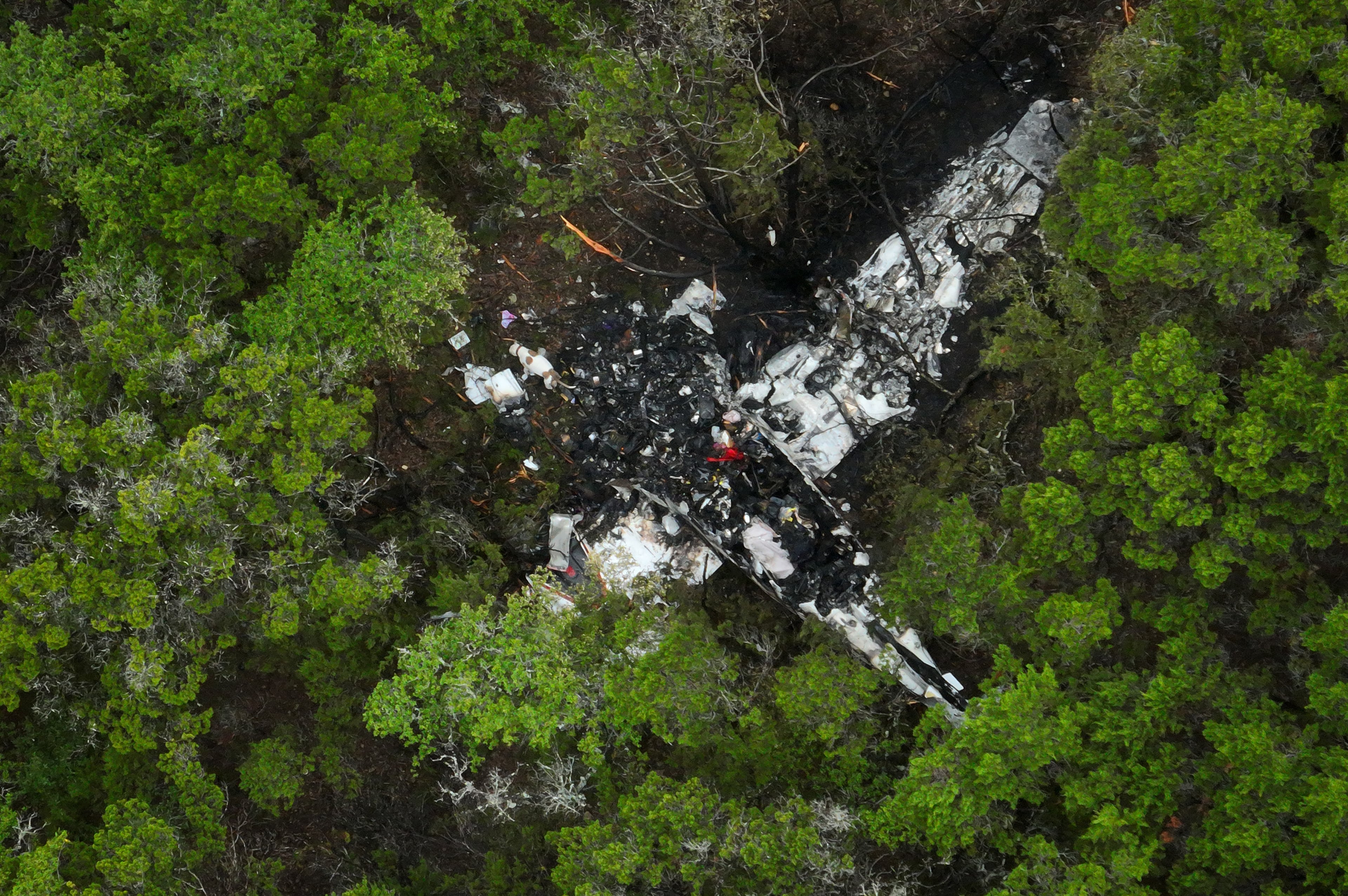 Texas Plane Crash