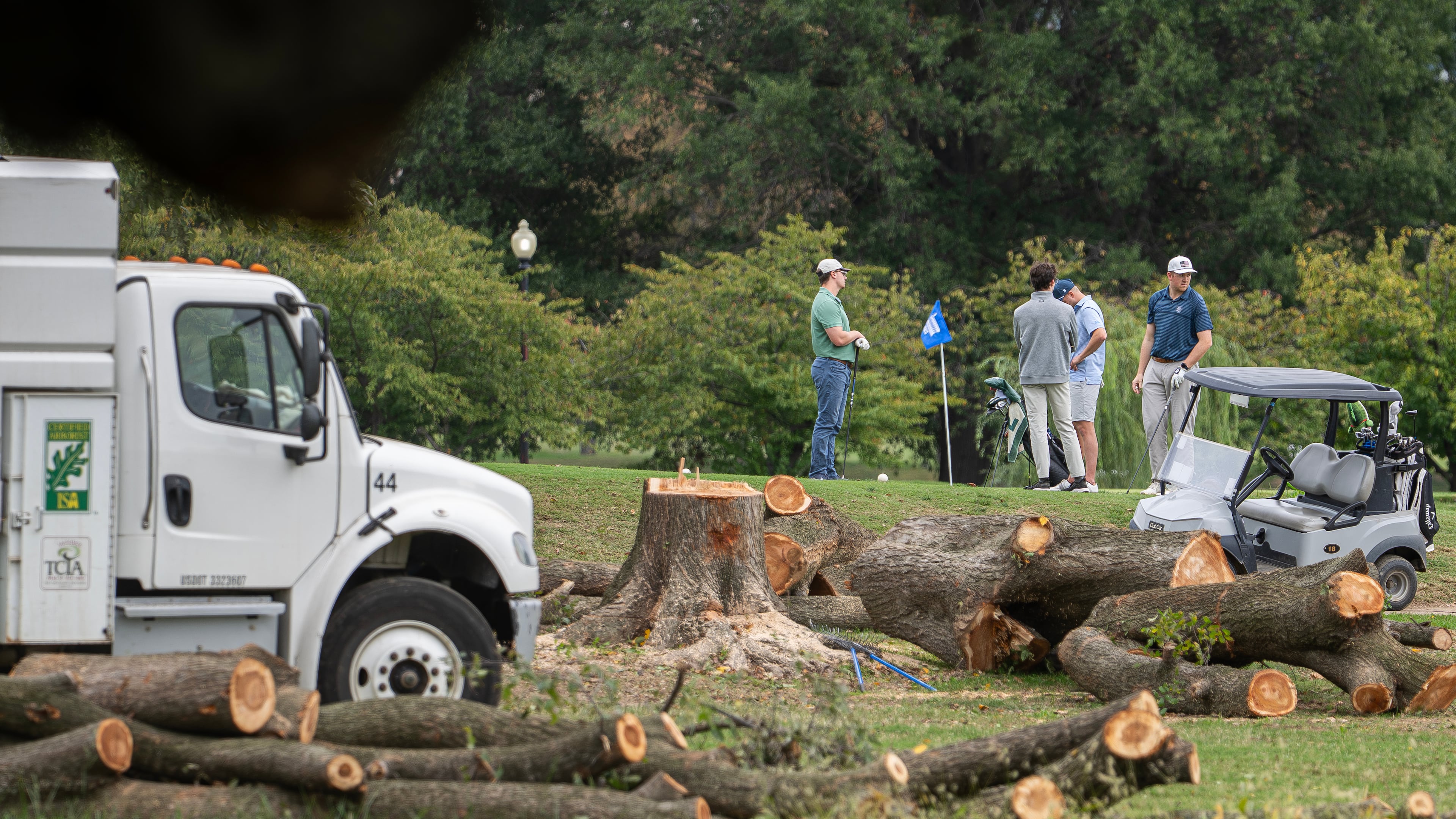 Golfers pass trees recently cut down by the National Park Service, at East Potomac Golf Links, Saturday, Oct. 10, 2026, in Washington. (AP Photo/Nathan Howard)