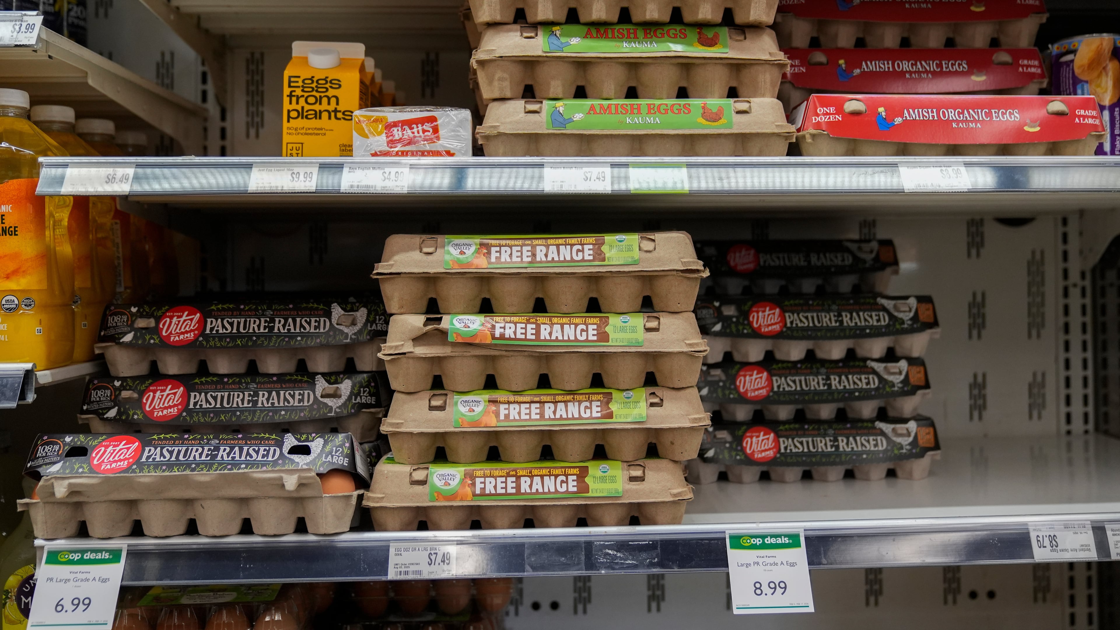 FILE - Eggs are for sale at a grocery store Tuesday, Feb. 10, 2026, in Chicago. (AP Photo/Erin Hooley,File)