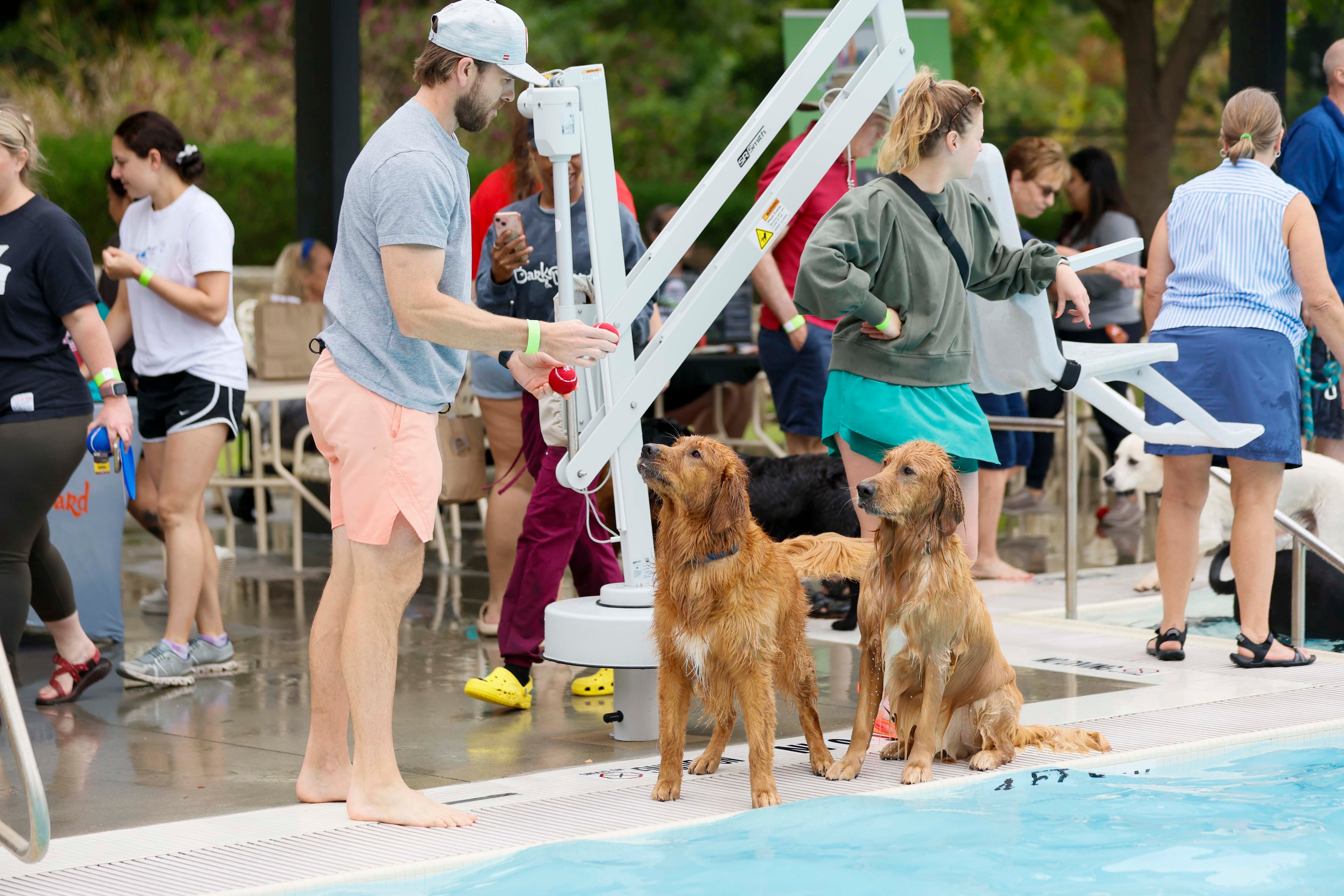 Nate Simpson prepares to toss the ball for Louie (left) and Boss Man during the Splish Splash Doggie Bash at Piedmont Park on Sunday, Oct. 5, 2025. (Miguel Martinez/AJC)