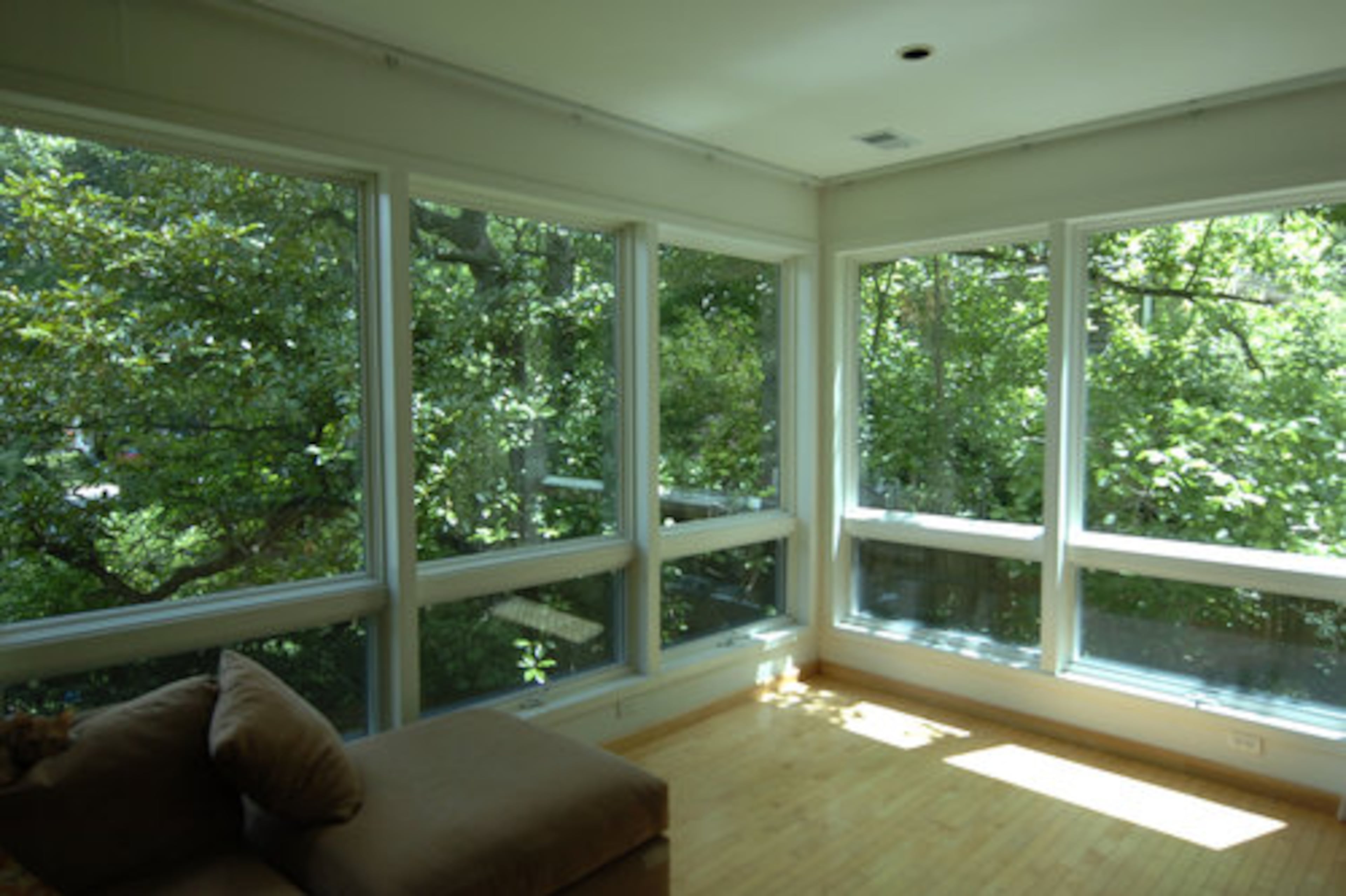 In the combined living and dining room, two walls of glass look into the branches of a giant magnolia tree.