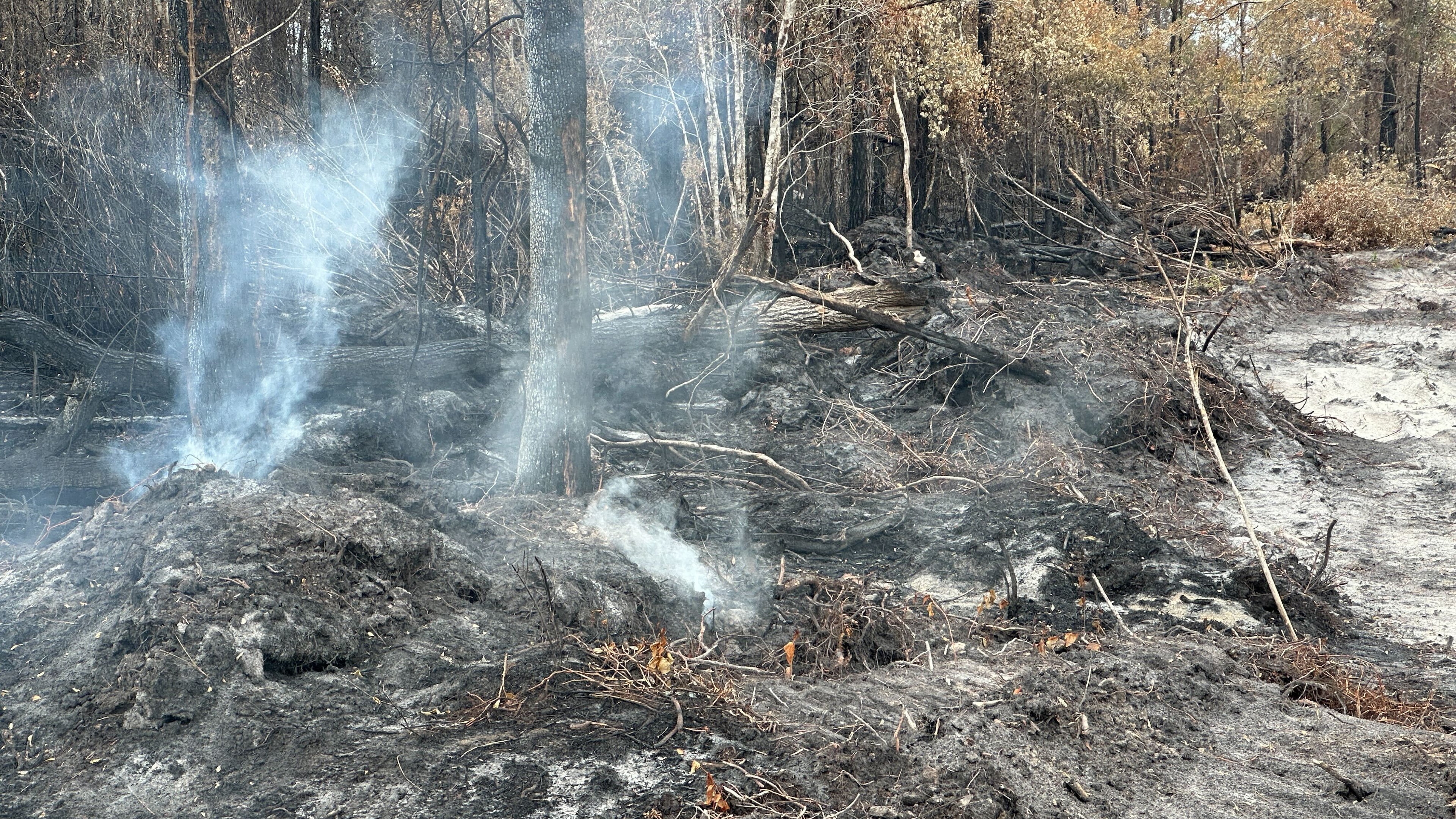 Blackened trees and charred palmetto fronds lined the shoulders of U.S. 82 on Monday, April 27, 2026 in Brantley County, Ga., as smoke poured from the ground in several spots beside the highway. (AP Photo/Russ Bynum)