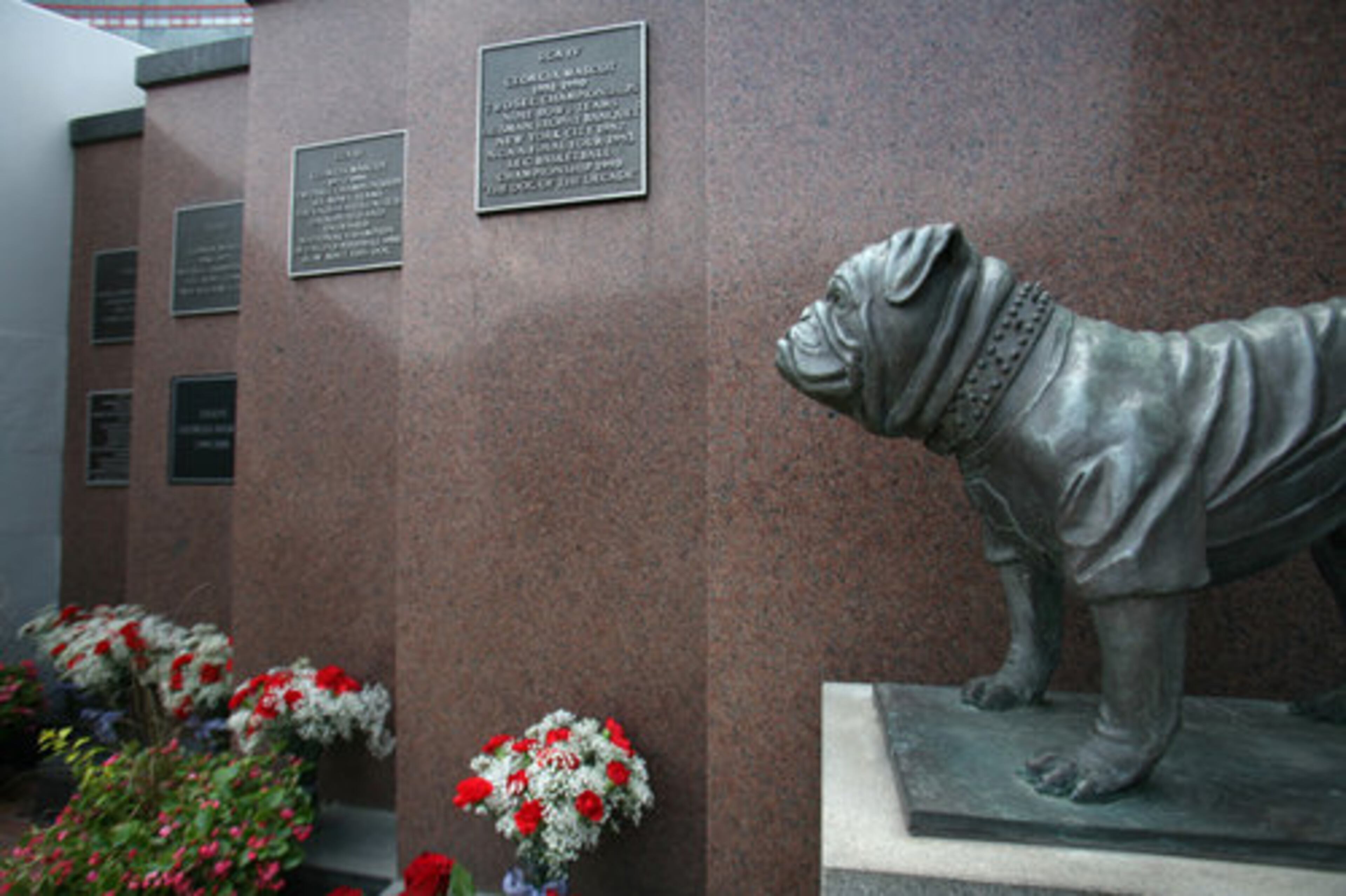 Flowers line the memorial site for Uga VI and the former Georgia mascots.