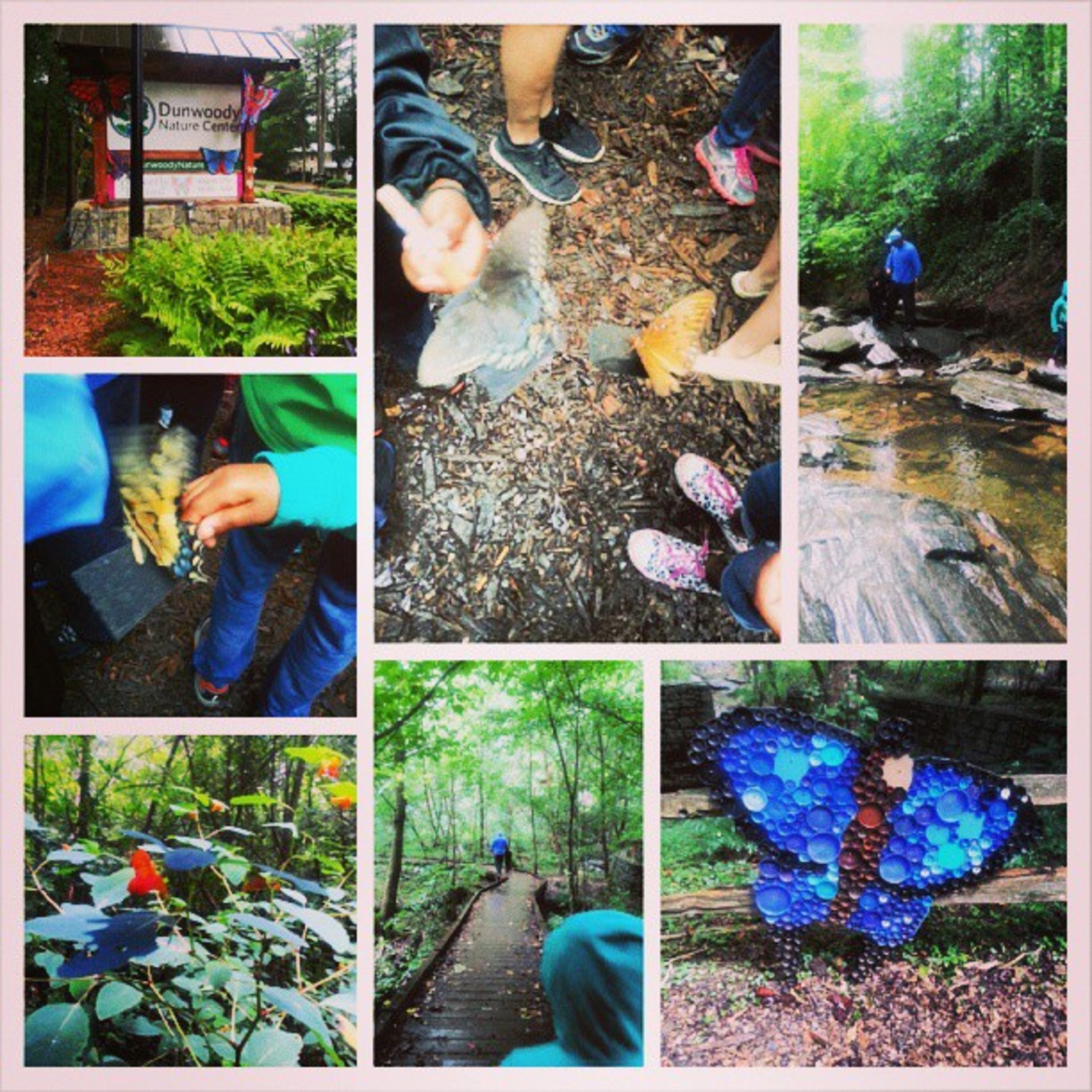 Little rain couldnt stop us #Butterflyfestival #dunwoodynaturecenter #mommyblogger -- @mikoknows