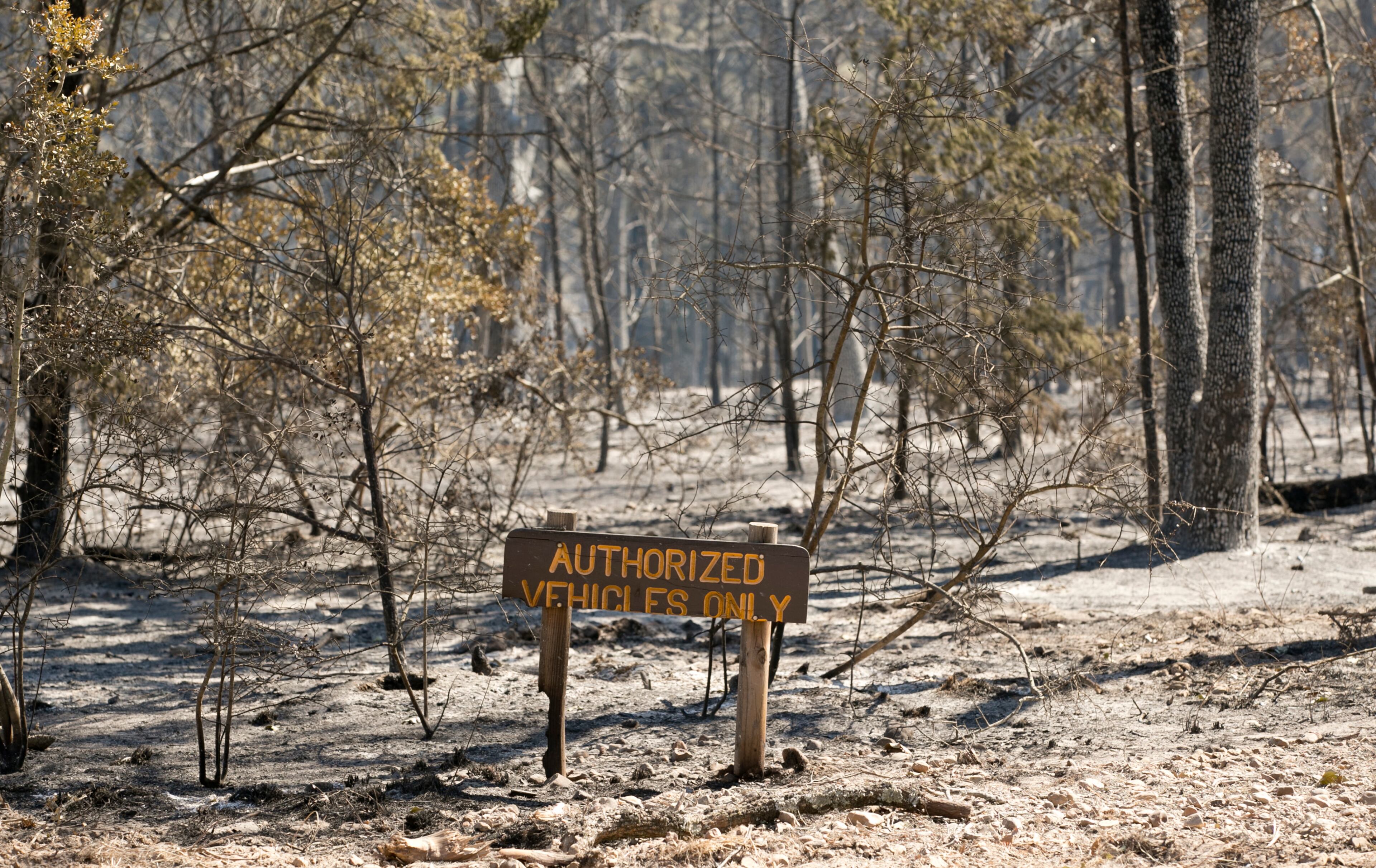 Buescher State Park is burned in the Hidden Pines Fire on Thursday October 15, 2015. JAY JANNER / AMERICAN-STATESMAN