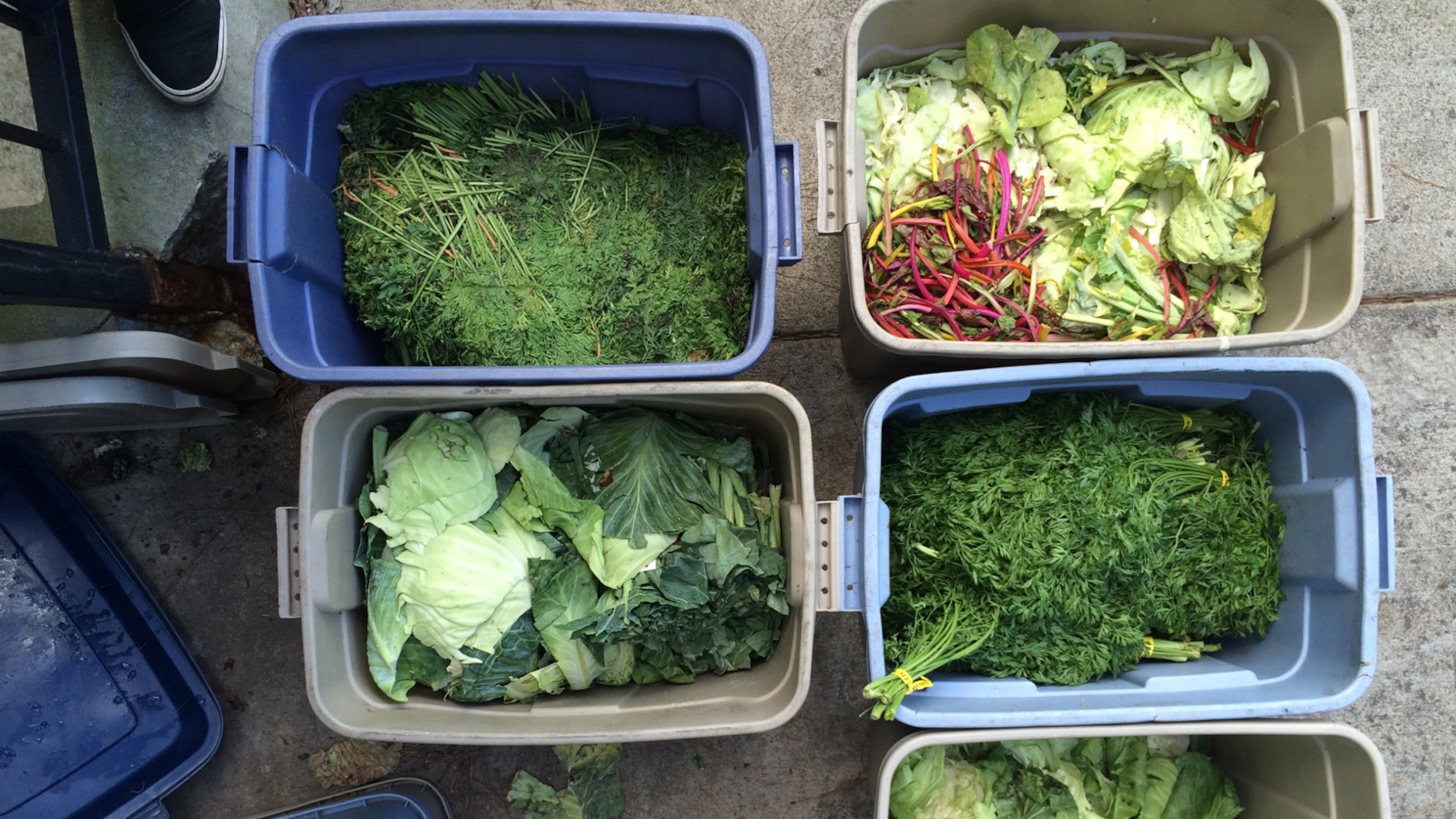An aerial view of compost from The Wrecking Bar. / Courtesy of Terry Koval