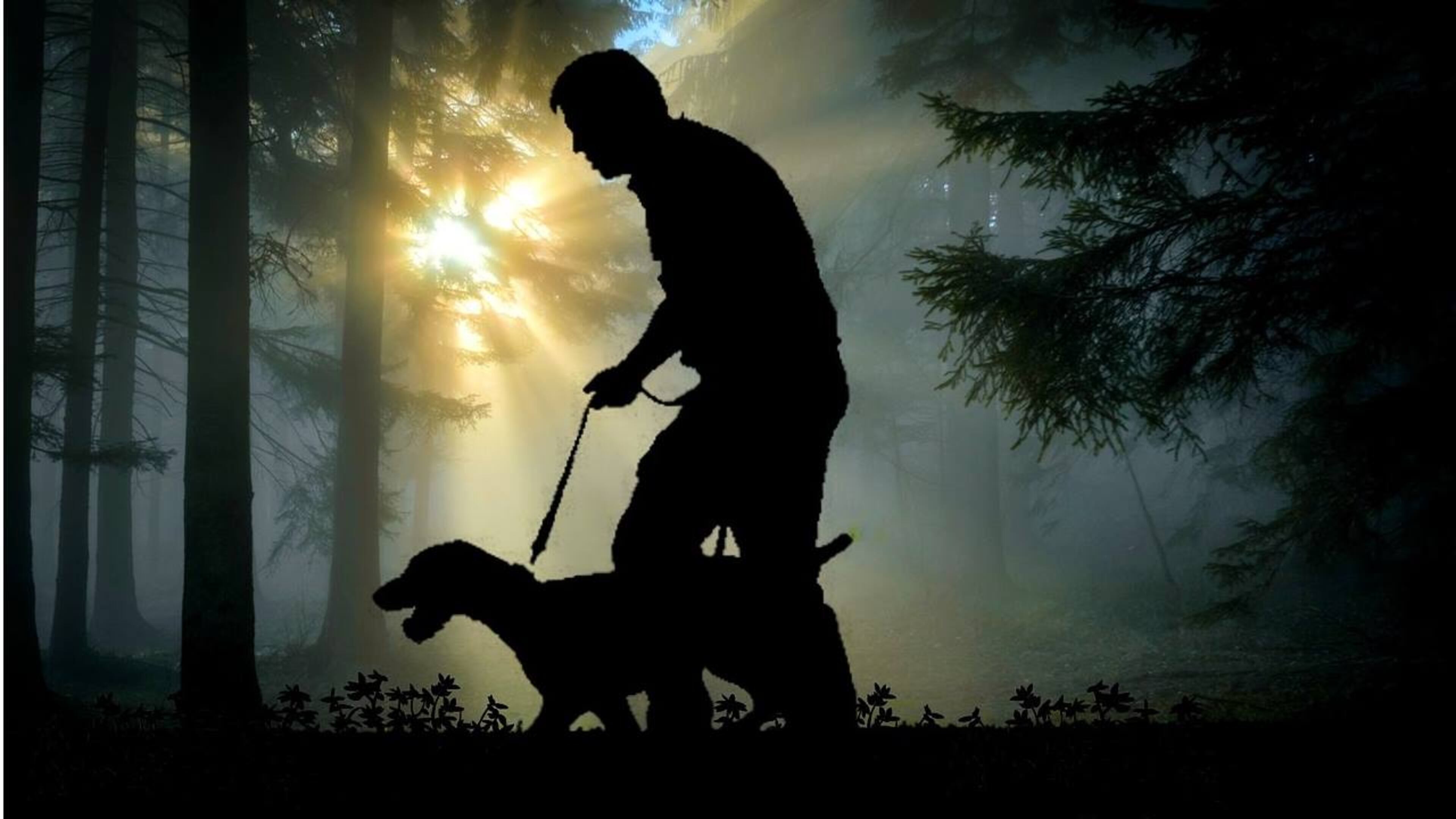 A blind runner made history when he completed the New York City Half Marathon with the help of three guide dogs.