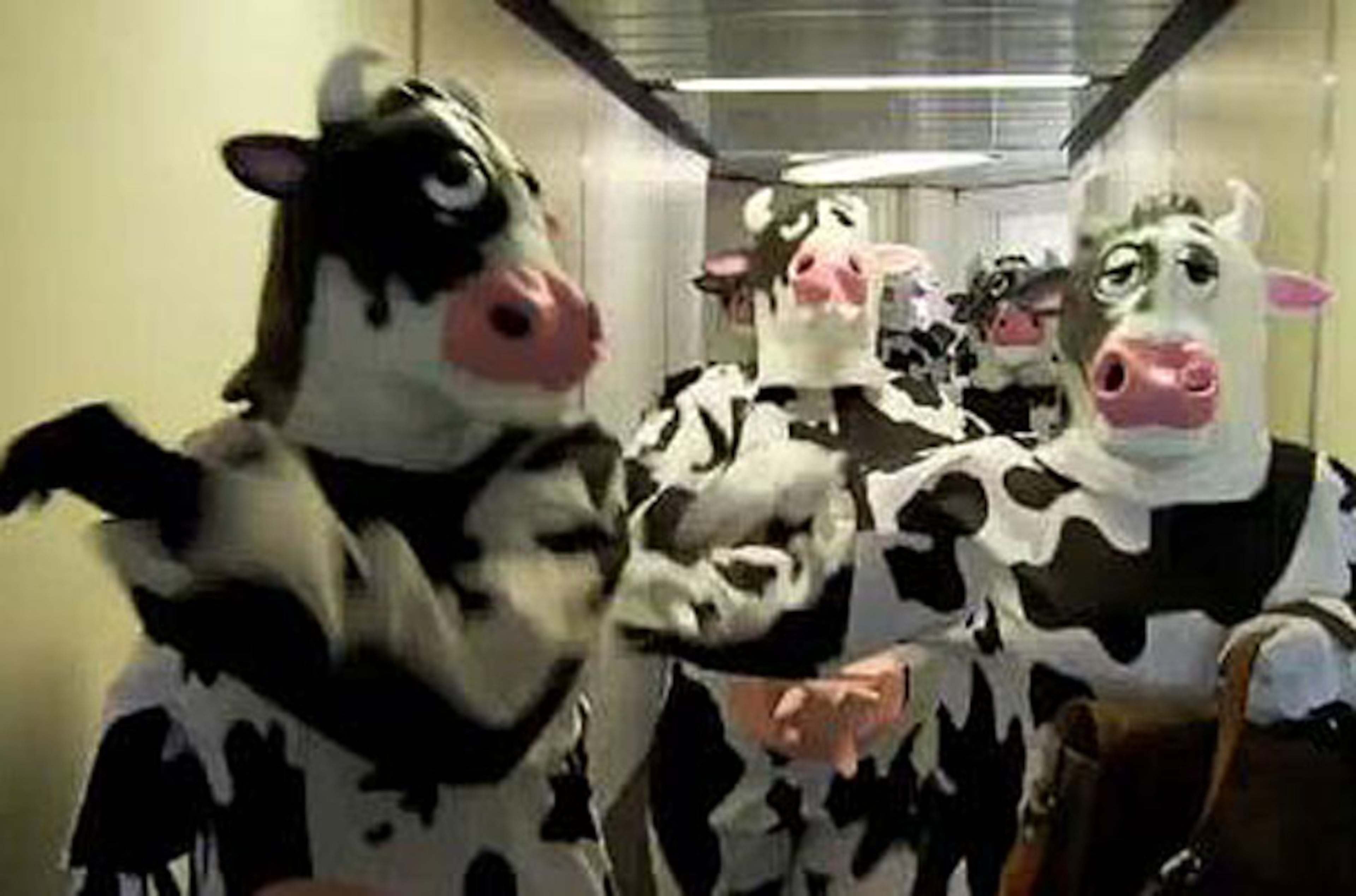 In a video, AirTran takes a shot at Southwest's open seating policy, calling for passengers to "skip the stampede."