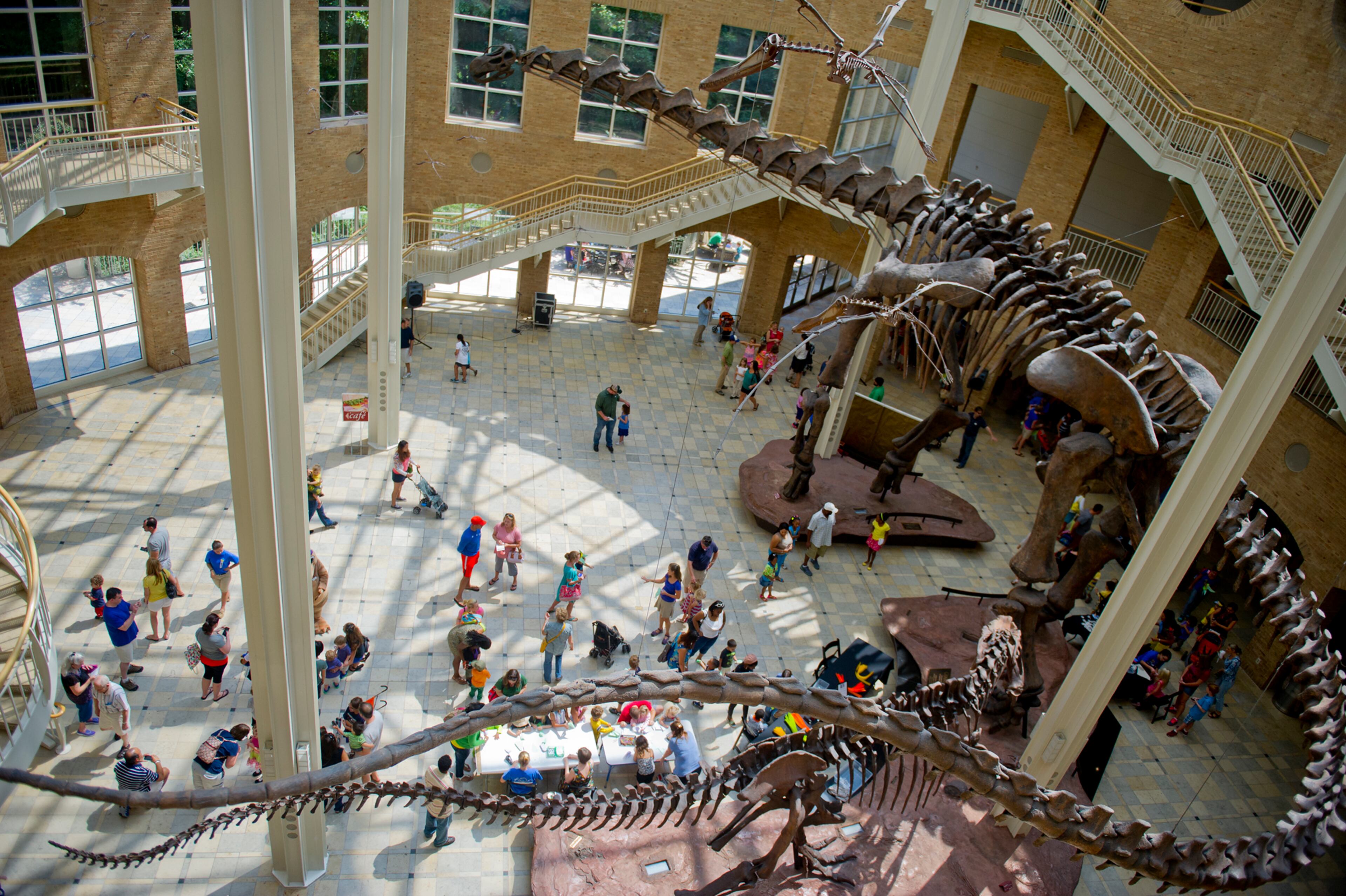 Close to 2,500 people came out to celebrate the 12th anniversary of Giants of the Mesozoic at the Fernbank Museum of Natural History in Atlanta on Saturday, August 24, 2031. The dinosaur birthday bash included games, tattoos, crafts, interactive displays and a mock archeological dig. JONATHAN PHILLIPS / SPECIAL