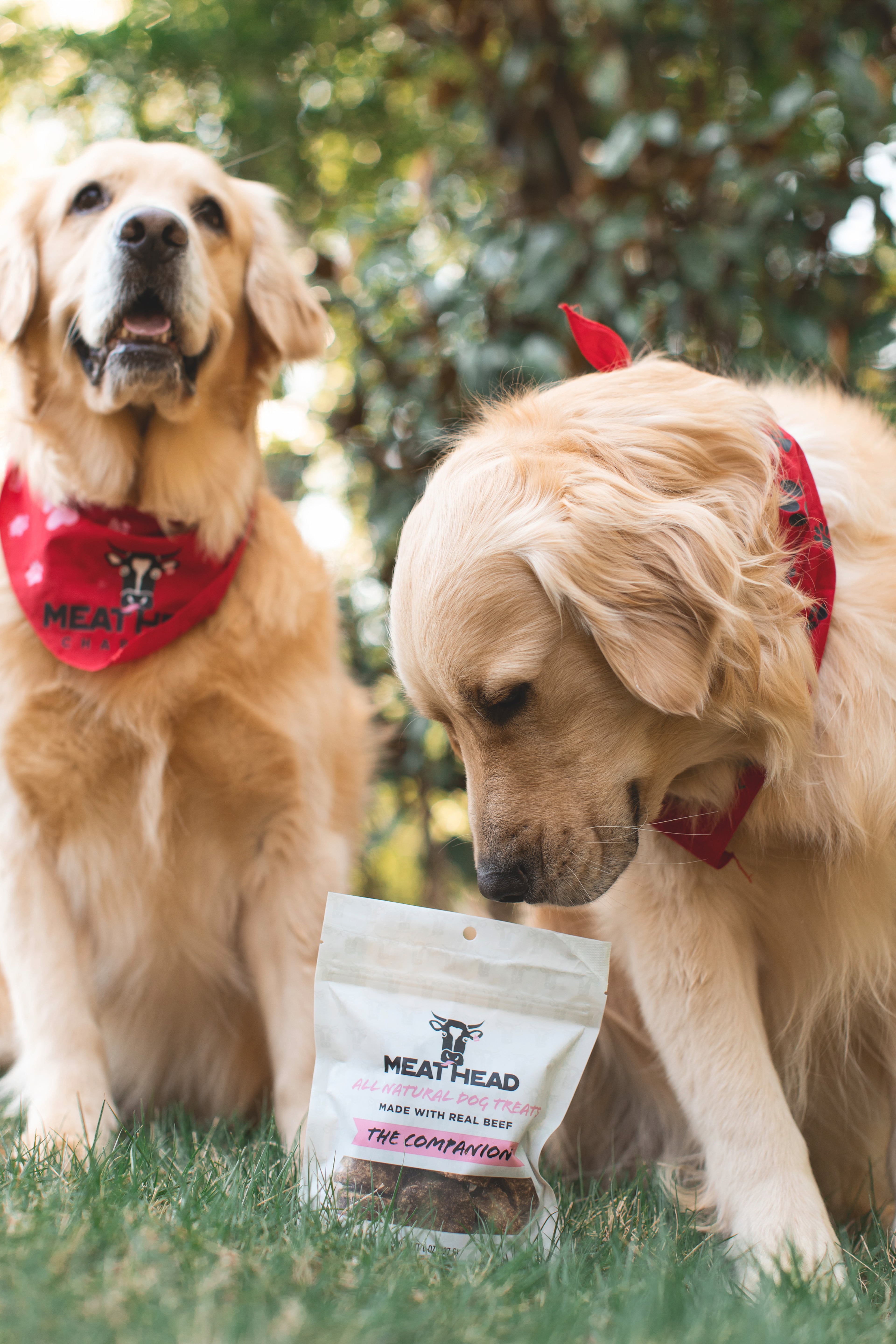 Dog treats from Meat Head Charcoal. (Courtesy of Meat Head Charcoal/Happy Everything Co.)