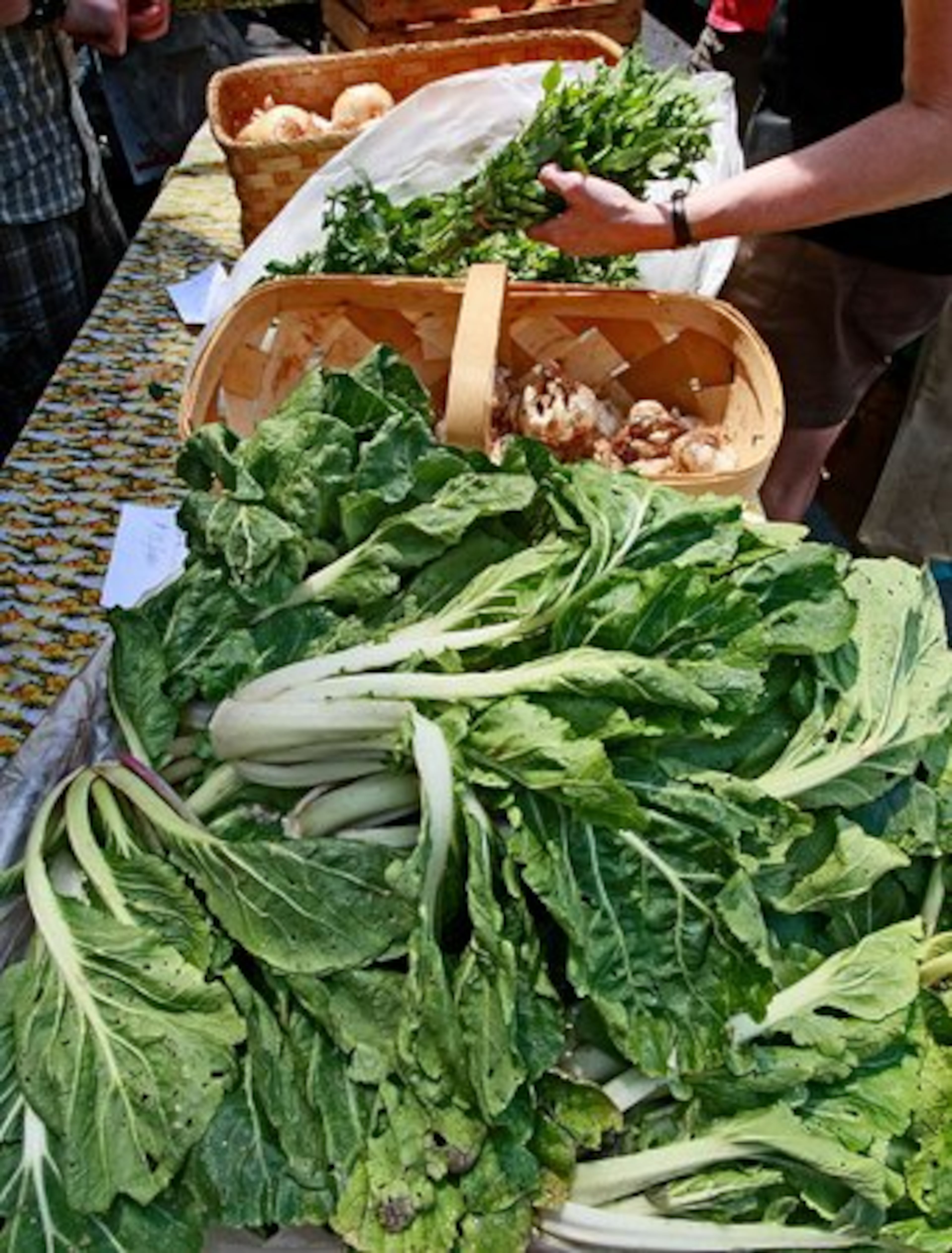 Shoppers sift through produce samples at the farmers market.
